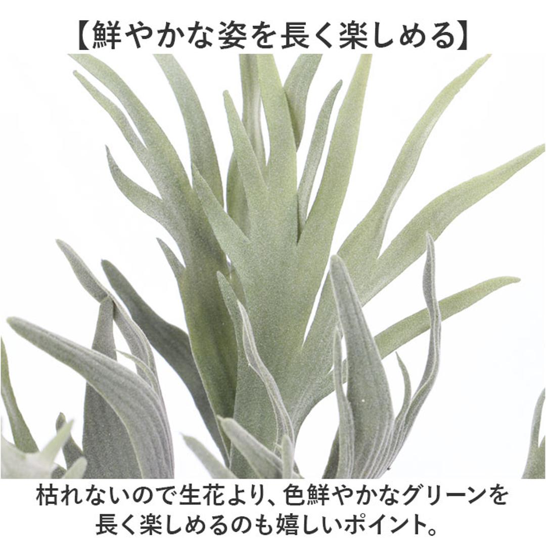 観葉植物 フェイク 大型 通販 フェイクグリーン スタッグホーン アーティフィシャルグリーン コウモリラン インテリアグリーン 人工観葉植物 大きめ 鉢植え ポット リビング ディスプレイ おしゃれ GLA-1364 スタッキングホーンポット ポピー YDM グリーン ・