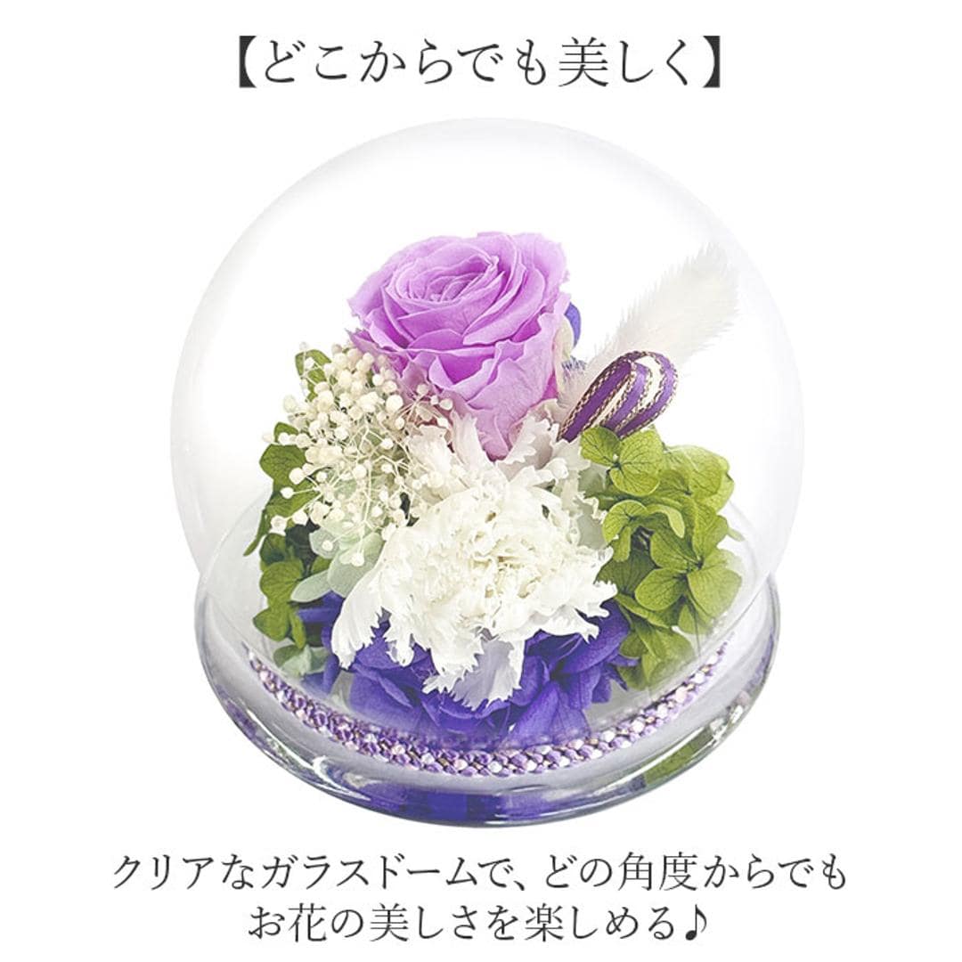プリザーブド フラワー 仏花 ガラスドーム 通販 フラワーアレンジメント ガラス ドーム プリザーブドフラワー 和風ガラスドーム お供え 供花 アレンジメント お供え花 法事 お彼岸 四十九日 お盆 一周忌 御供 仏壇 花 枯れない花 観葉植物 凛ホワイト ・