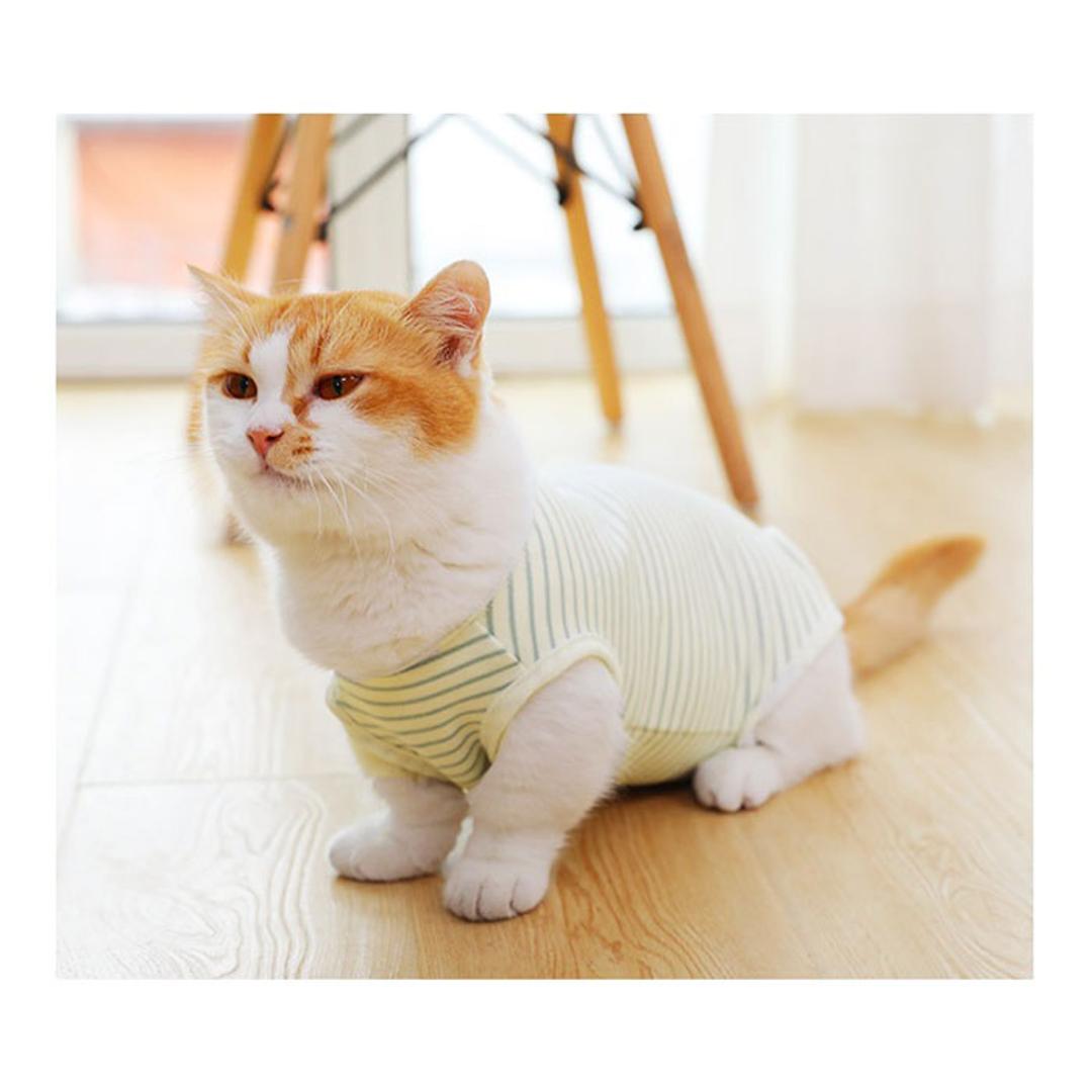 猫 術後服 通販 服 ねこ 傷舐め防止 手術後 ストライプ ロンパース つなぎ カバーオール 洋服 ウェア 術後ウェア 薄手 皮膚保護 柔らかい S M L XL かわいい マジックテープ 猫用 ネコ 犬用 いぬ 犬 ペット グッズ ストライプ 【即日発送】Sサイズ