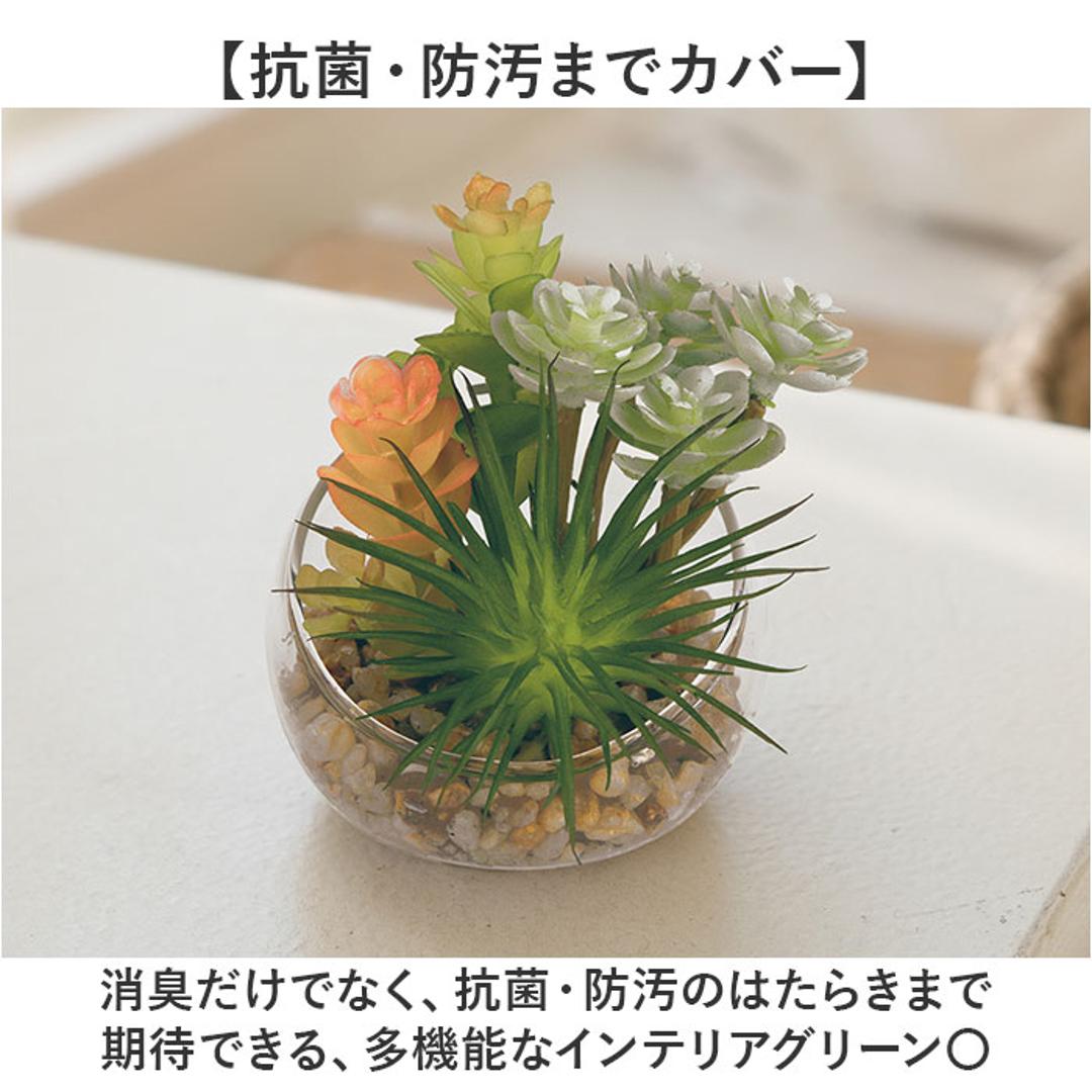 CT触媒 フェイクグリーン 通販 キシマ Sサイズ アーティフィシャルグリーン 観葉植物 フェイク グリーン 人工観葉植物 卓上 多肉植物 寄せ植え ガラス 消臭 小さめ ミニ 小型 かわいい リビング リアル kishima 造花 インテリア 61433.Aタイプ ・
