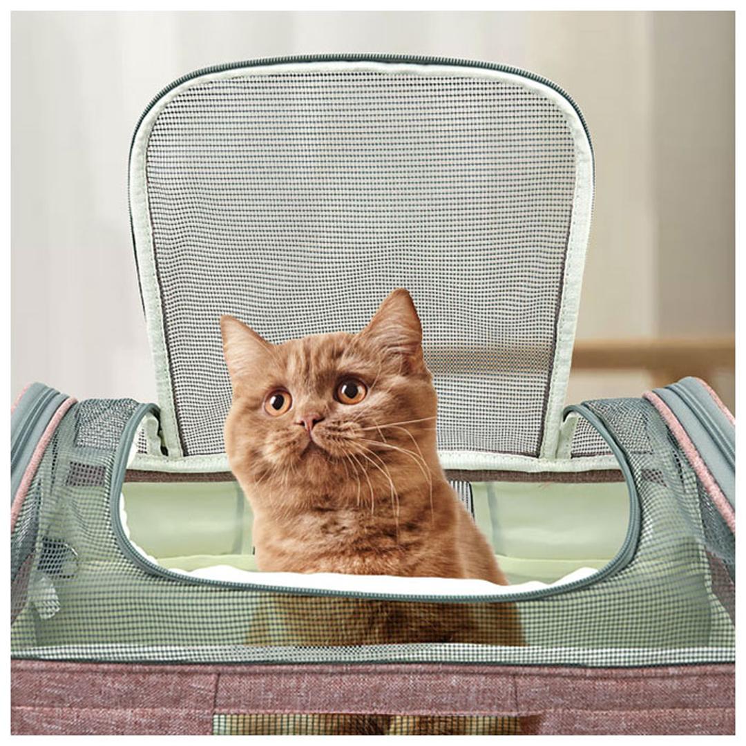 ペットキャリー 折りたたみバッグ 通販 ボストンバッグ 犬 猫 キャリーバック ペットキャリーバッグ 折り畳み おしゃれ 顔出し 小型犬 おしゃれ 旅行 通院 おでかけ 猫用 ネコ 犬用 いぬ ペット グッズ ペット用品 ブラック ・