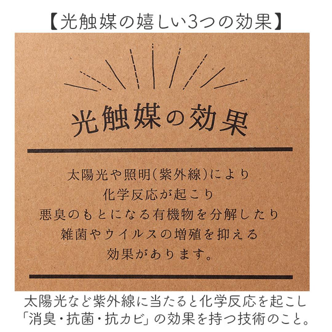 光触媒 人工観葉植物 通販 フェイクグリーン インテリアグリーン イミテーショングリーン インテリアプランツ ポット 陶器 植物 飾る 消臭 抗菌 防カビ おしゃれ 置物 イミテーション 癒し 癒やし リビング 和室 寝室 贈り物 ギフト 新生活 コウモリラン ・