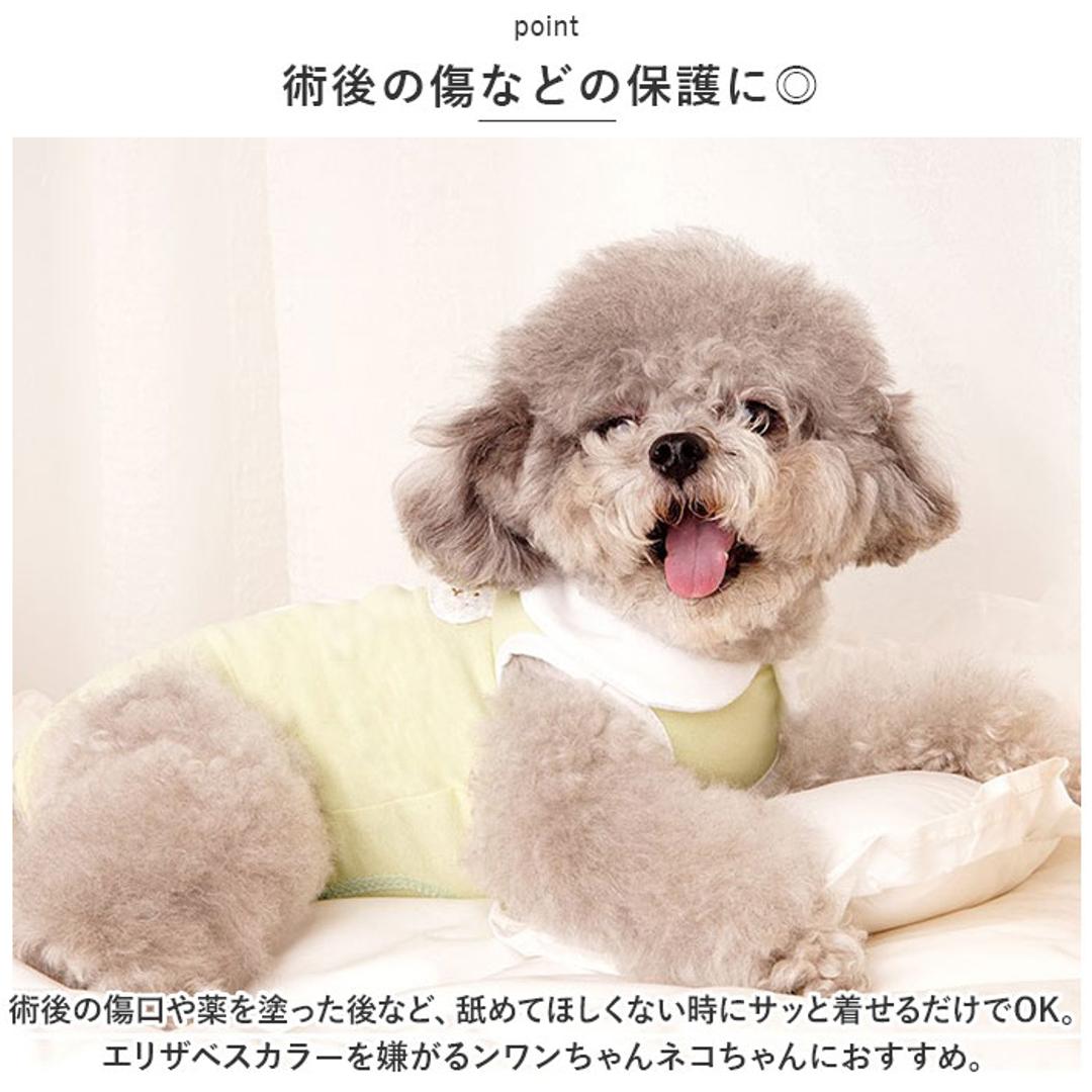 犬 術後服 オス メス 通販 イヌ いぬ 避妊 去勢 男の子 女の子 ペット パンツ 傷口 保護 引っ掻き 防止 傷舐め 噛み 背中開き 介護 薄手 伸縮性 猫 ねこ ネコ 怪我 ケガ かわいい グリーン 【即日発送】S