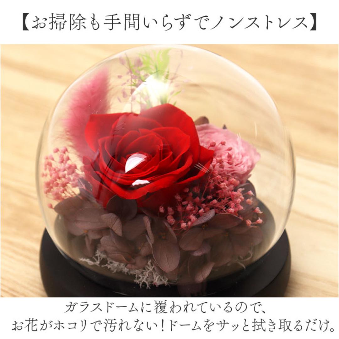 ブリザードフラワ- 通販 フラワーギフト ガラス製 フラワーアレンジメント ガラスドーム お花 花 かわいい おしゃれ フラワー 結婚祝い 新築祝い 玄関 リビング 引越し祝い インテリア 退職 退職祝い アムール・デ・フルール ギフト 贈り物 引っ越し祝い ピンク ・