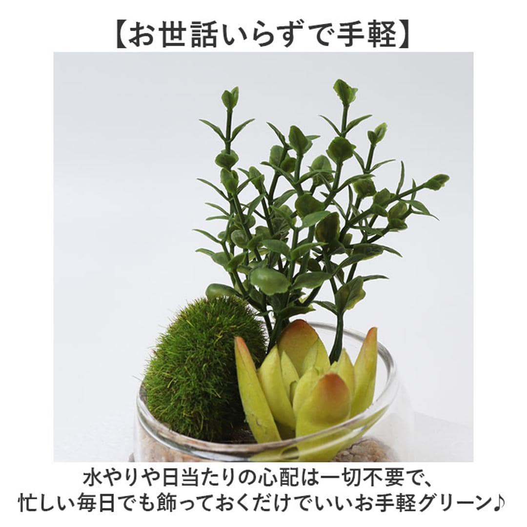 CT触媒 フェイクグリーン 通販 キシマ Sサイズ アーティフィシャルグリーン 観葉植物 フェイク グリーン 人工観葉植物 卓上 多肉植物 寄せ植え ガラス 消臭 小さめ ミニ 小型 かわいい リビング リアル kishima 造花 インテリア 61433.Aタイプ ・