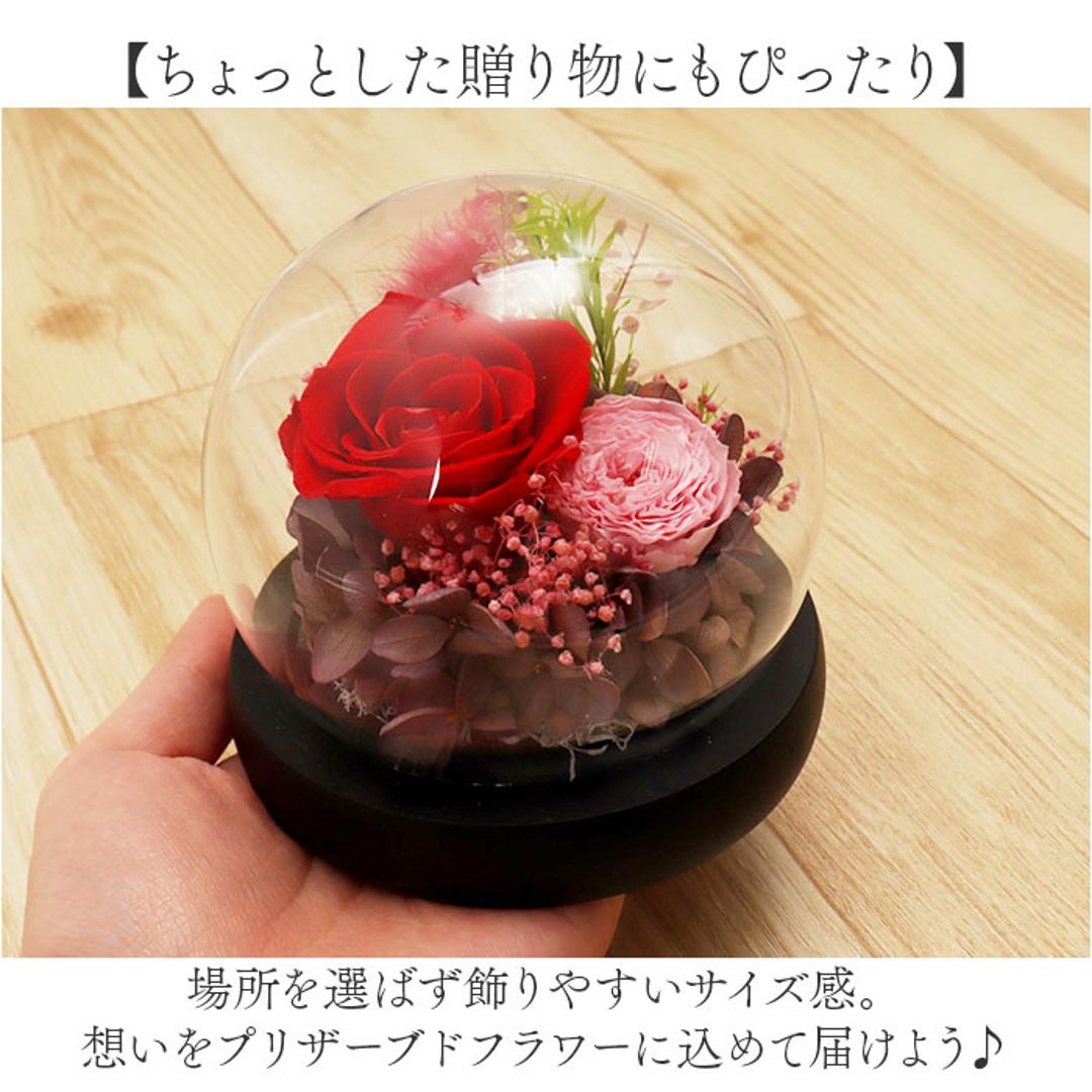 ブリザードフラワ- 通販 フラワーギフト ガラス製 フラワーアレンジメント ガラスドーム お花 花 かわいい おしゃれ フラワー 結婚祝い 新築祝い 玄関 リビング 引越し祝い インテリア 退職 退職祝い アムール・デ・フルール ギフト 贈り物 引っ越し祝い ピンク ・