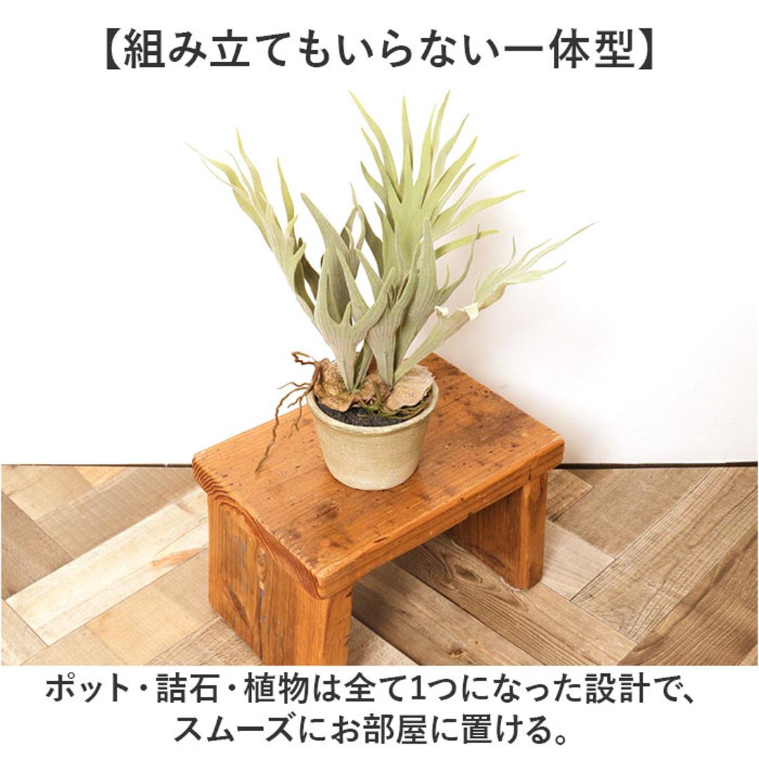 観葉植物 フェイク 大型 通販 フェイクグリーン スタッグホーン アーティフィシャルグリーン コウモリラン インテリアグリーン 人工観葉植物 大きめ 鉢植え ポット リビング ディスプレイ おしゃれ GLA-1364 スタッキングホーンポット ポピー YDM グリーン ・