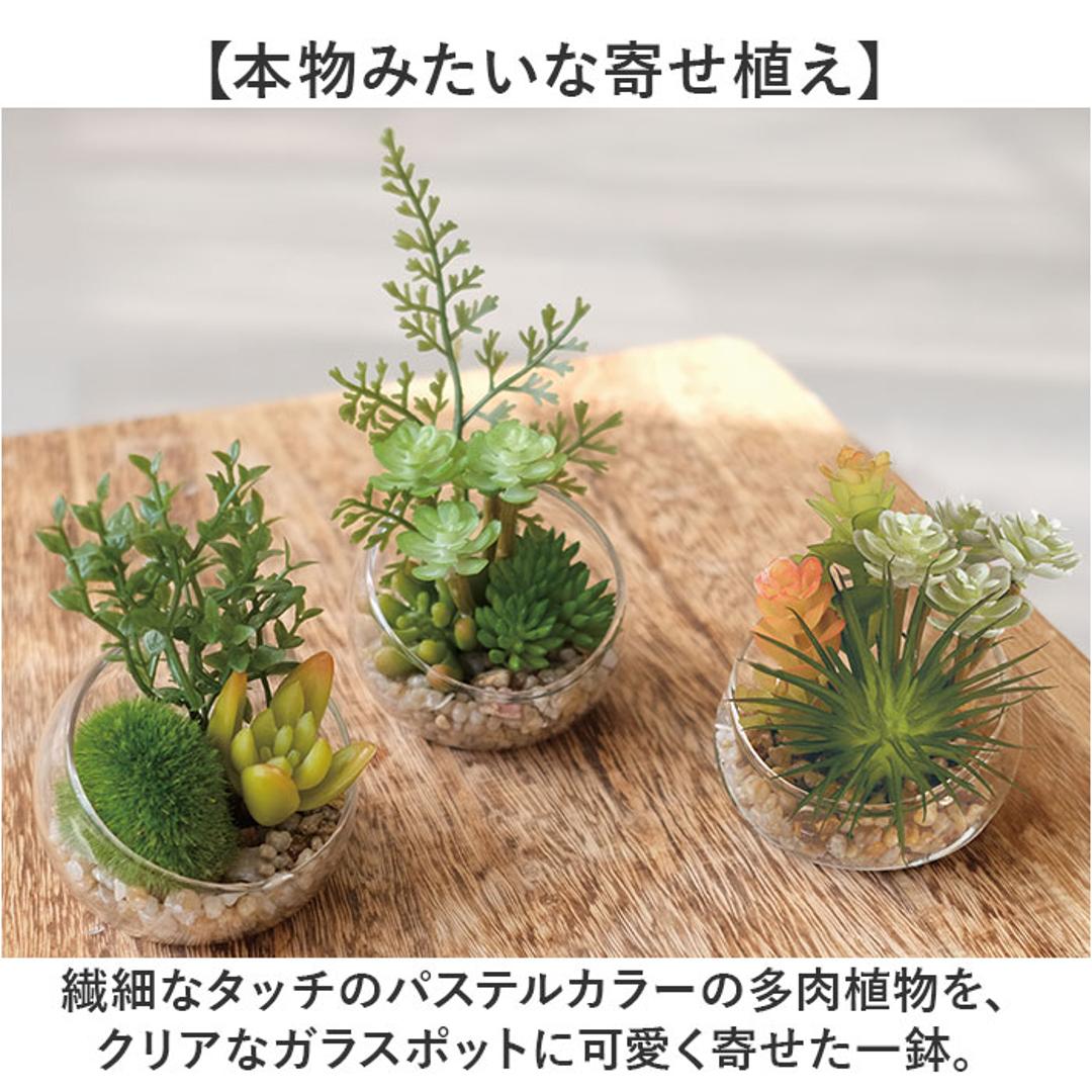 CT触媒 フェイクグリーン 通販 キシマ Sサイズ アーティフィシャルグリーン 観葉植物 フェイク グリーン 人工観葉植物 卓上 多肉植物 寄せ植え ガラス 消臭 小さめ ミニ 小型 かわいい リビング リアル kishima 造花 インテリア 61433.Aタイプ ・