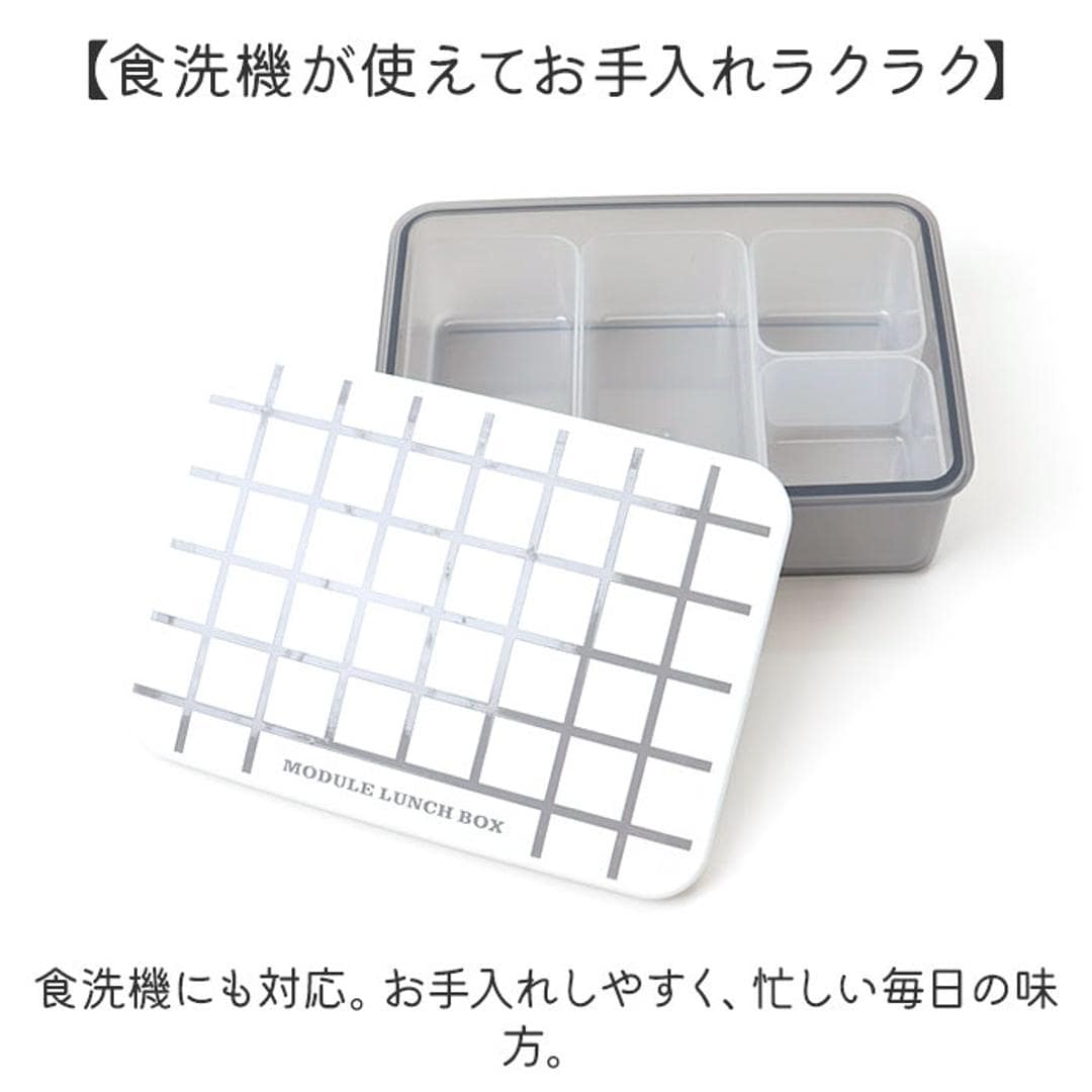 弁当箱 小分けケース付き 通販 お弁当箱 小分け ケース ランチボックス MODULE LUNCH BOX GRID L お弁当用 電子レンジOK レンジOK 冷凍保存 作り置き おかず 冷凍 冷凍食品 ピッタリ入る つくりおき 時短 楽々 らくらく 便利 レッド ・