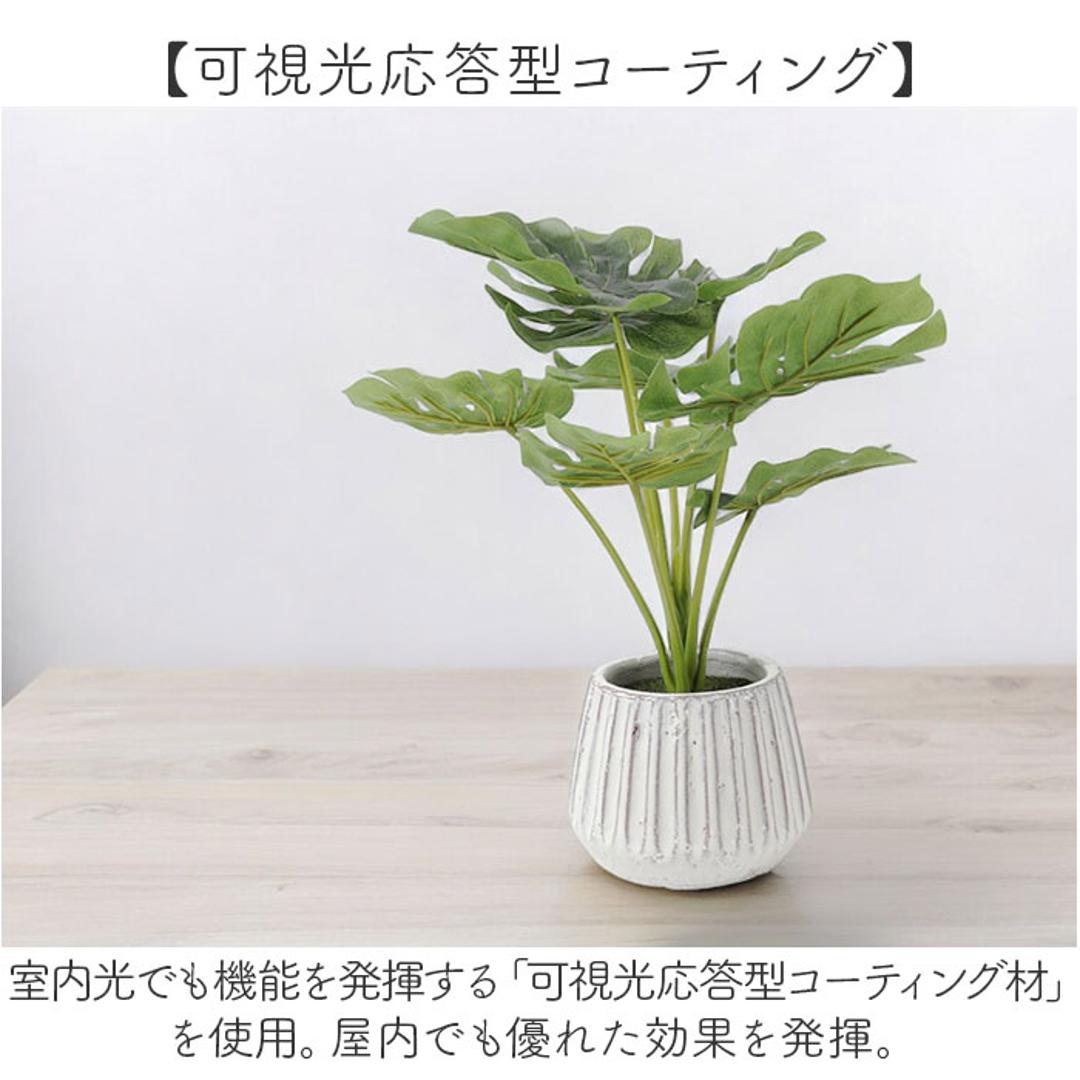 光触媒 人工観葉植物 通販 フェイクグリーン インテリアグリーン イミテーショングリーン インテリアプランツ ポット 陶器 植物 飾る 消臭 抗菌 防カビ おしゃれ 置物 イミテーション 癒し 癒やし リビング 和室 寝室 贈り物 ギフト 新生活 コウモリラン ・