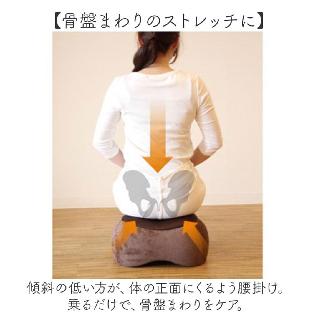 踏み台昇降 通販 トランポリンクッション エクササイズ フィットネス トランポリン クッション おうち時間 持ち運び トレーニング ジャンプ 有酸素運動 おしゃれ インテリア 運動不足 PROIDEA プロイデア ギフト ブラウン ・