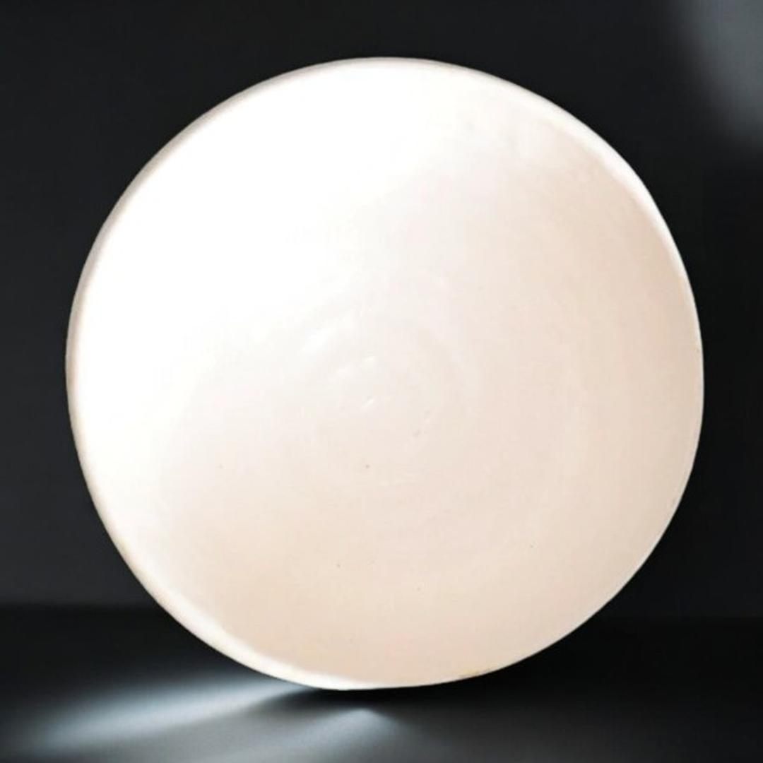 美濃焼 皿 通販 日本製 お皿 プレート 美濃 焼 24.5cm 大皿 丸皿 パスタ皿 カレー皿 和食器 おしゃれ モダン かわいい 花形 花型 お花 電子レンジ対応 食洗機対応 サラダ デザート ケーキ リンカ 24プレート グルメスタイル キッチン用品 ホワイト ・