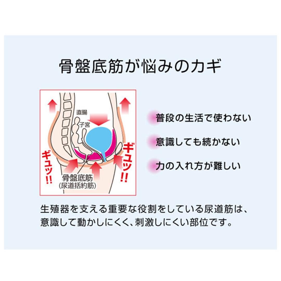 骨盤底筋トレーニング 通販 骨盤底筋エクササイズクッション キュットブル 骨盤底筋 クッション グッズ 骨盤底筋を鍛えるグッズ 骨盤 座椅子 骨盤  産後 尿漏れ 対策 尿もれ 予防 トレーニング エクササイズ リラックス マッサージ用品 マッサージクッション(・ ブラウン ...