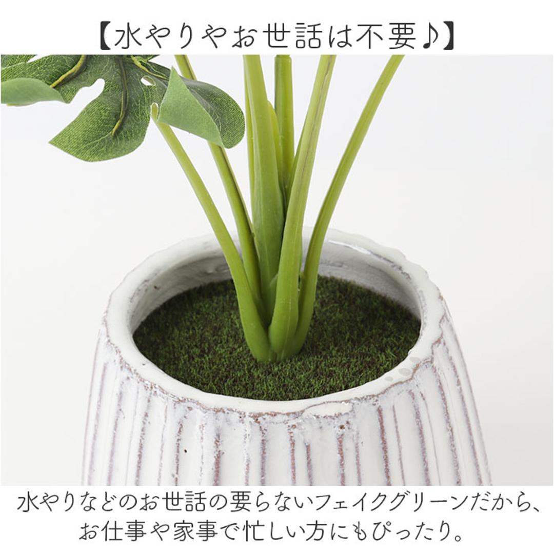光触媒 人工観葉植物 通販 フェイクグリーン インテリアグリーン イミテーショングリーン インテリアプランツ ポット 陶器 植物 飾る 消臭 抗菌 防カビ おしゃれ 置物 イミテーション 癒し 癒やし リビング 和室 寝室 贈り物 ギフト 新生活 コウモリラン ・