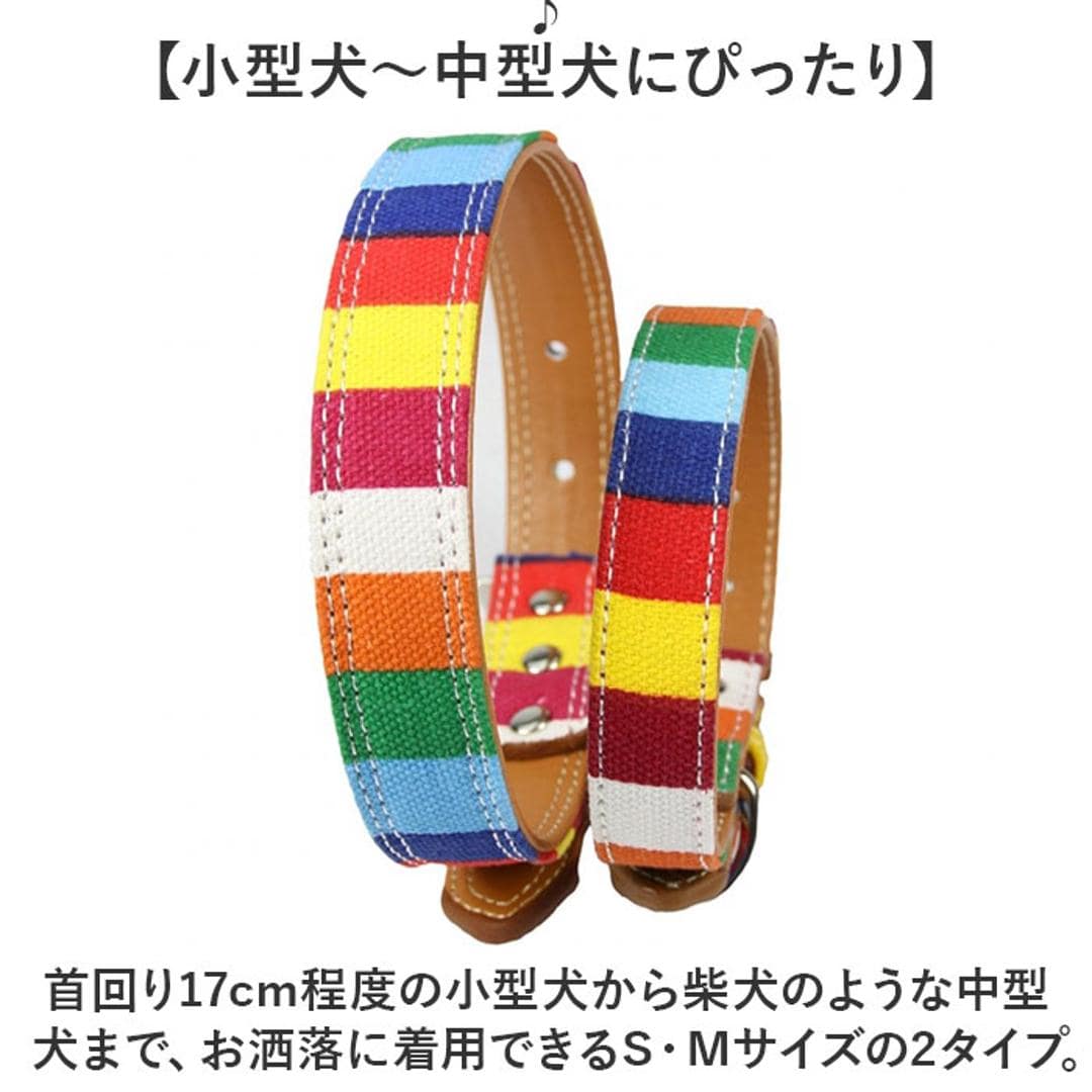 首輪 犬 通販 犬の首輪 中型犬 小型犬 かわいい 可愛い おしゃれ 調節可能 シンプル カジュアル 犬アクセサリー オシャレ お出掛け お出かけ さんぽ 散歩 ベルト式 キャンバス+PU 犬グッズ ペットグッズ ペット用品 マルチカラー 【即日発送】Sサイズ