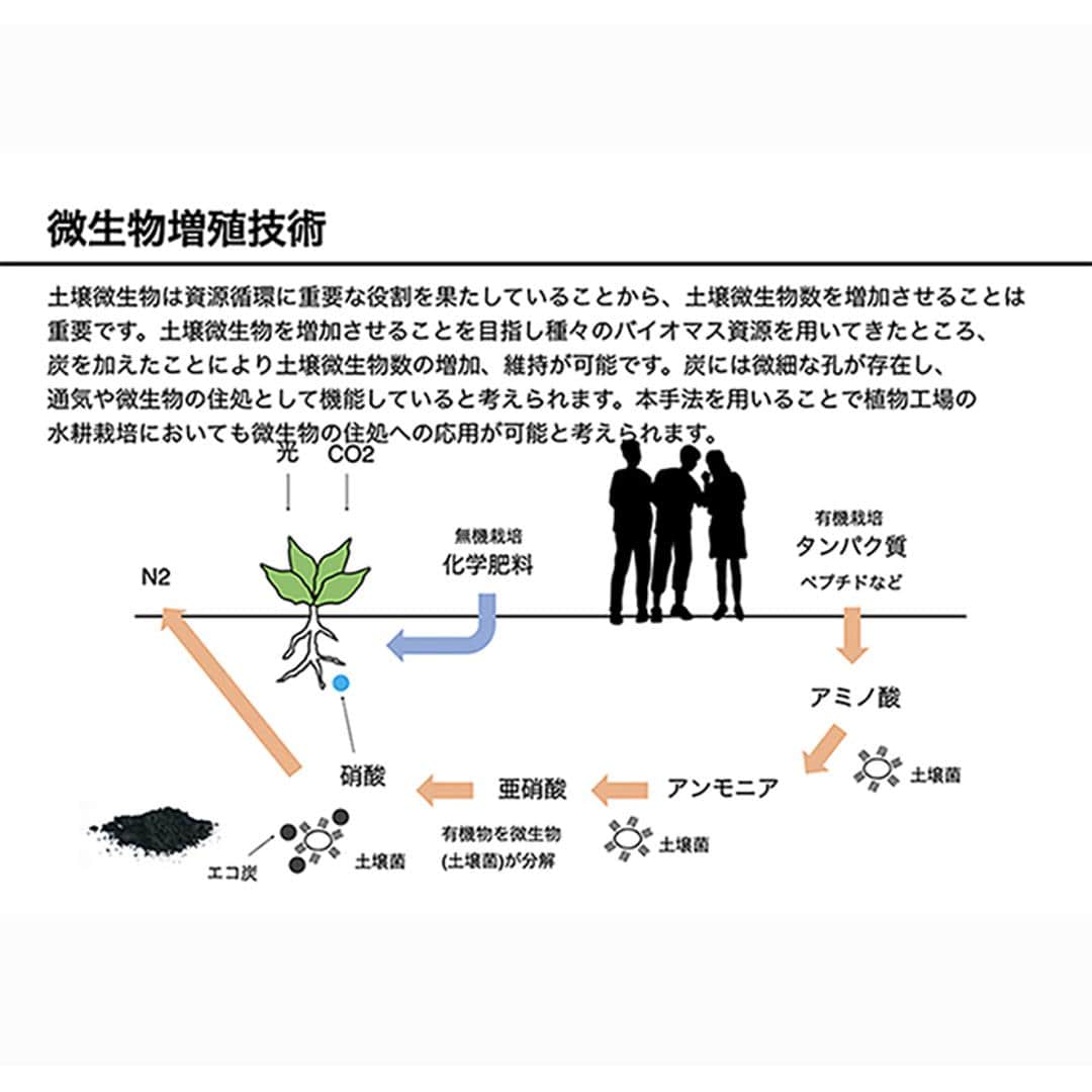 炭 消臭 1kg 大袋 通販 PFAS対策 顆粒炭 バイオ炭 肥料 抗菌 消臭剤 廃プラ炭 汚泥炭 廃プラエコ炭 濾過洗浄 すみ スミ たん チャコール 植物 家庭菜園 ガーデニング雑貨 ガーデニング用品 キッチン 生活雑貨 エコハーブ REH-003 ブラック ・