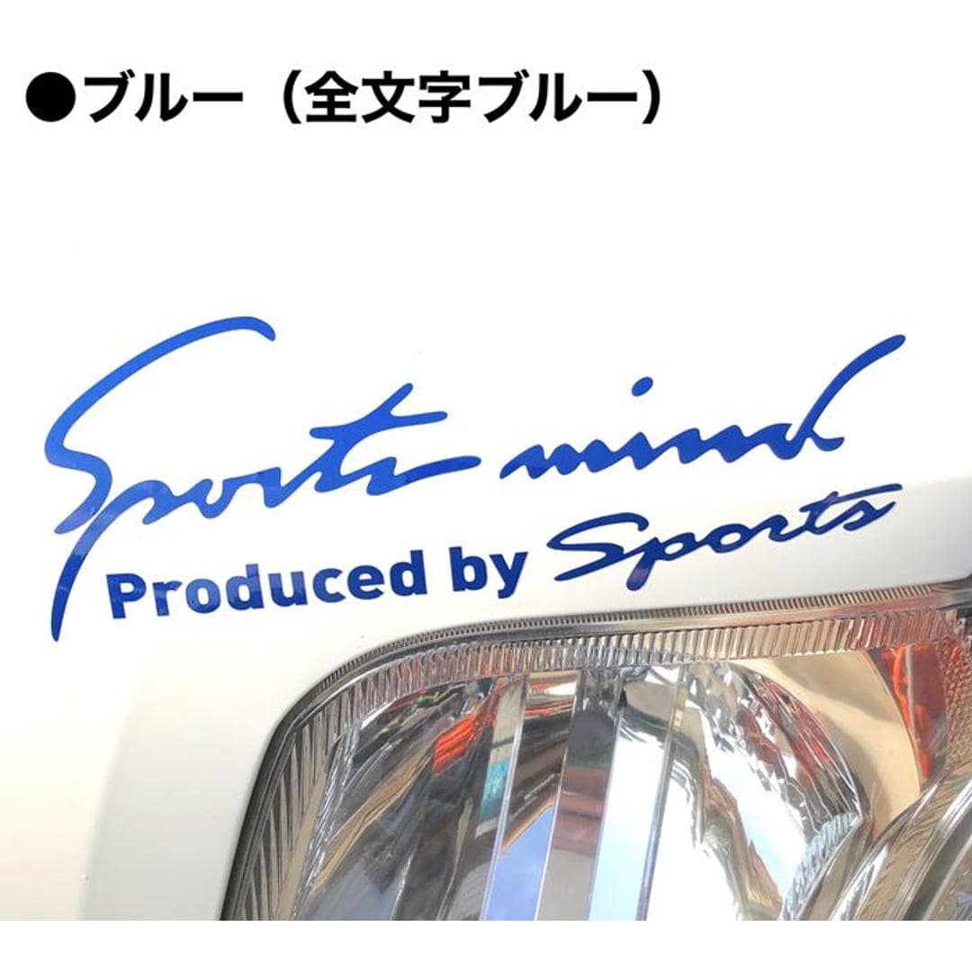 車 ステッカー おしゃれ 通販 Sサイズ 約7×19cm 車に貼るステッカー カッティングシート 外装 カーアクセサリー アクセサリー クルマ サイド ボンネット リア シール デカール 車アクセサリー バイク Sport mind スポーツマインド ホワイトシルバー ・