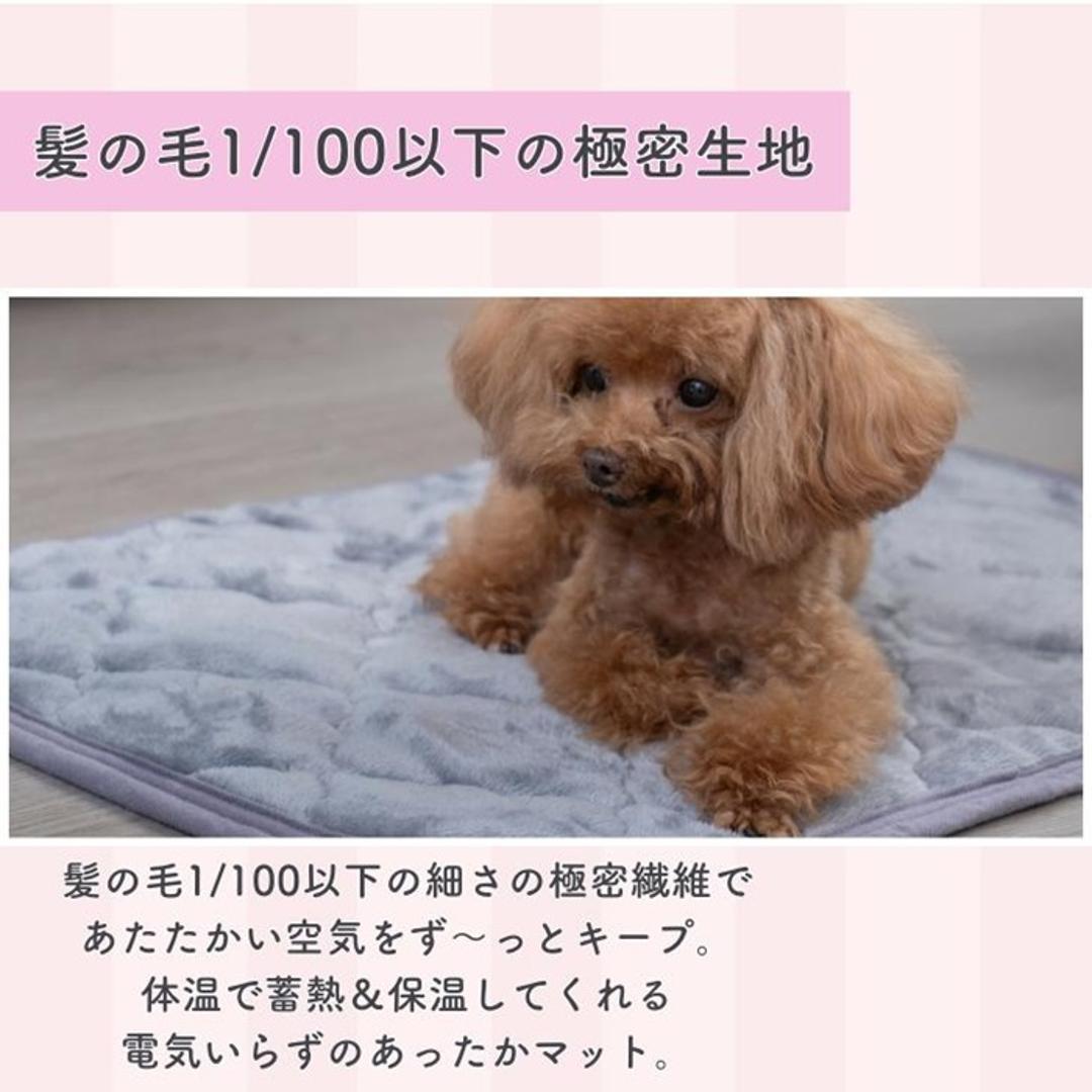 ペット用 パッド LL 通販 犬用マット ペット用マット ペットマット ペットパッド ペット用パッド 敷きパッド マット フランネル 寒さ対策 防寒対策 ペット 犬 いぬ 滑り止め すべり止め 洗える やわらか 柔らかい やわらかい 冬グッズ 猫 ねこ ネコ BR ・