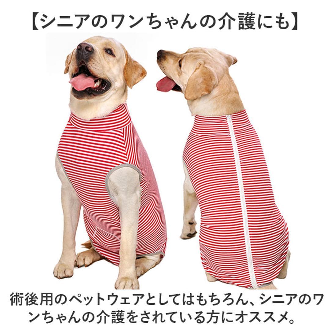 術後服 犬 通販 大型犬 術後ウェア 前後足 イヌ術後服 袖なし 傷口保護 傷舐め防止 避妊 去勢 けが ドッグウェア 術後着 通気性 術後カバー服 介護服 男女用 犬の服 かわいい 可愛い おしゃれ オシャレ シンプル パジャマ ペット用品 ダイナソー 【即日発送】26