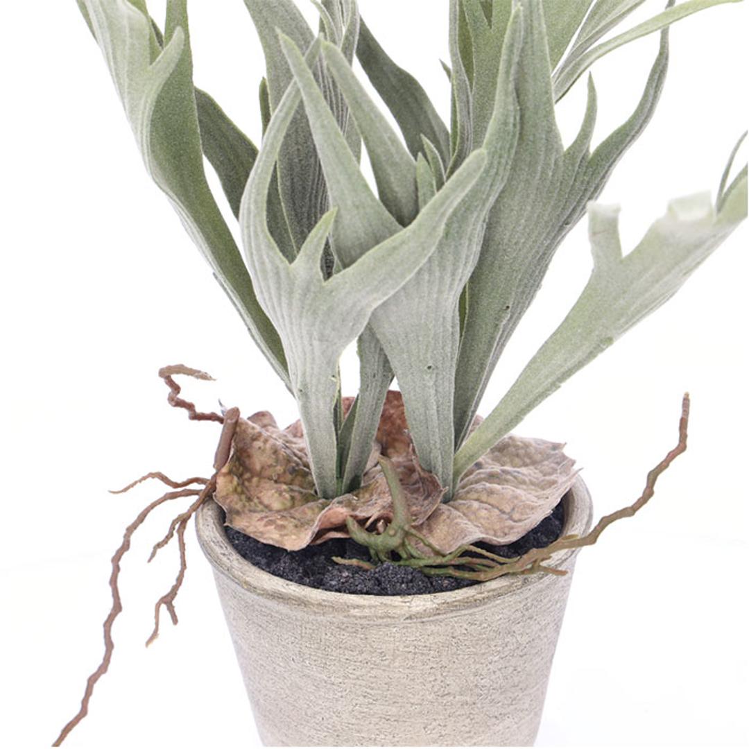 観葉植物 フェイク 大型 通販 フェイクグリーン スタッグホーン アーティフィシャルグリーン コウモリラン インテリアグリーン 人工観葉植物 大きめ 鉢植え ポット リビング ディスプレイ おしゃれ GLA-1364 スタッキングホーンポット ポピー YDM グリーン ・