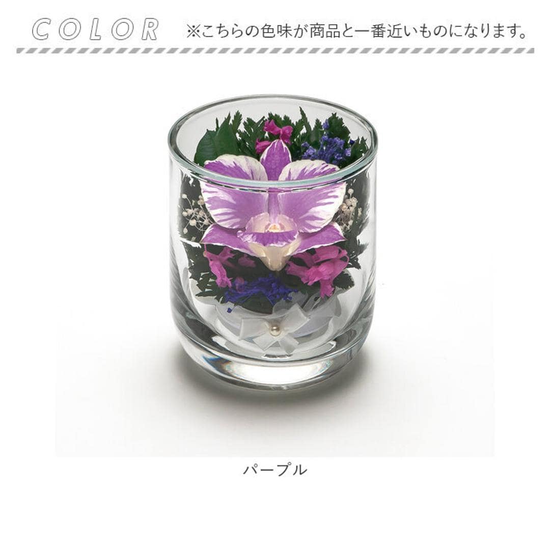 ドライフラワー ガラスケース 通販 オーキッド グラスS お供え 花 造花
