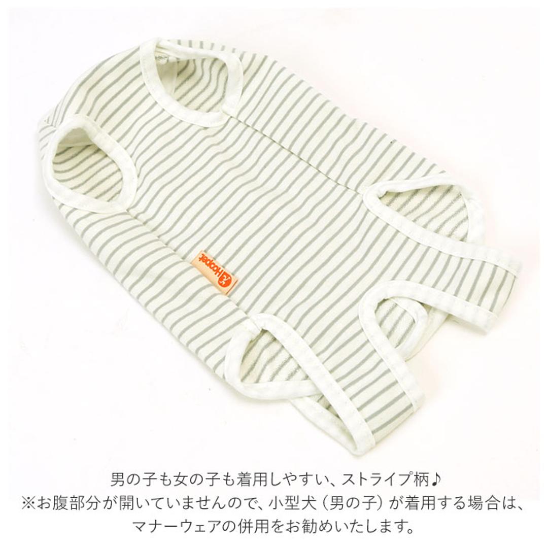 猫 術後服 通販 服 ねこ 傷舐め防止 手術後 ストライプ ロンパース つなぎ カバーオール 洋服 ウェア 術後ウェア 薄手 皮膚保護 柔らかい S M L XL かわいい マジックテープ 猫用 ネコ 犬用 いぬ 犬 ペット グッズ ストライプ 【即日発送】Sサイズ