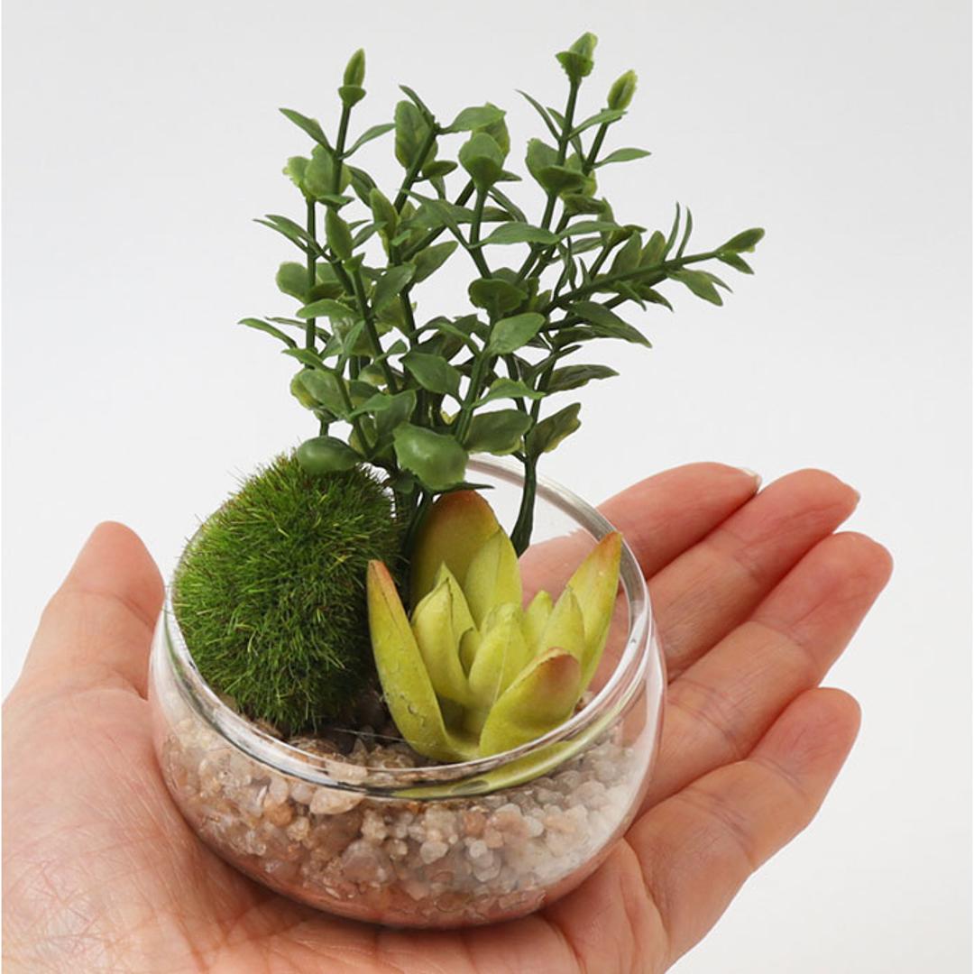 CT触媒 フェイクグリーン 通販 キシマ Sサイズ アーティフィシャルグリーン 観葉植物 フェイク グリーン 人工観葉植物 卓上 多肉植物 寄せ植え ガラス 消臭 小さめ ミニ 小型 かわいい リビング リアル kishima 造花 インテリア 61433.Aタイプ ・
