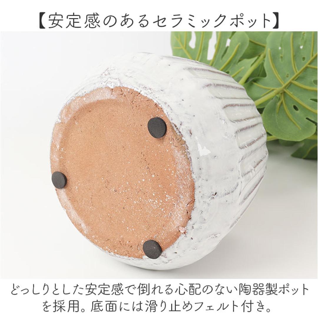 光触媒 人工観葉植物 通販 フェイクグリーン インテリアグリーン イミテーショングリーン インテリアプランツ ポット 陶器 植物 飾る 消臭 抗菌 防カビ おしゃれ 置物 イミテーション 癒し 癒やし リビング 和室 寝室 贈り物 ギフト 新生活 コウモリラン ・