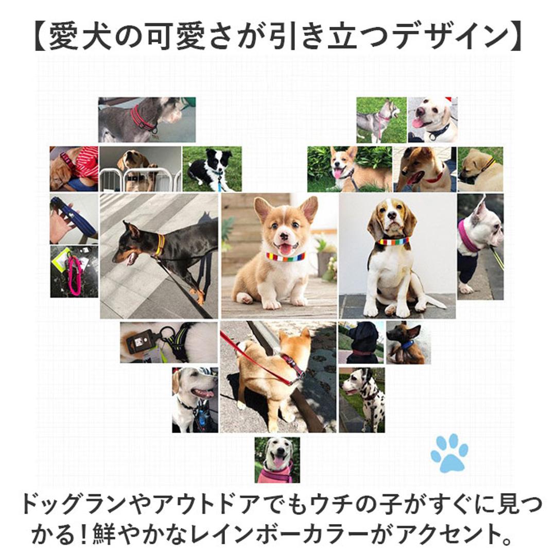 首輪 犬 通販 犬の首輪 中型犬 小型犬 かわいい 可愛い おしゃれ 調節可能 シンプル カジュアル 犬アクセサリー オシャレ お出掛け お出かけ さんぽ 散歩 ベルト式 キャンバス+PU 犬グッズ ペットグッズ ペット用品 マルチカラー 【即日発送】Sサイズ