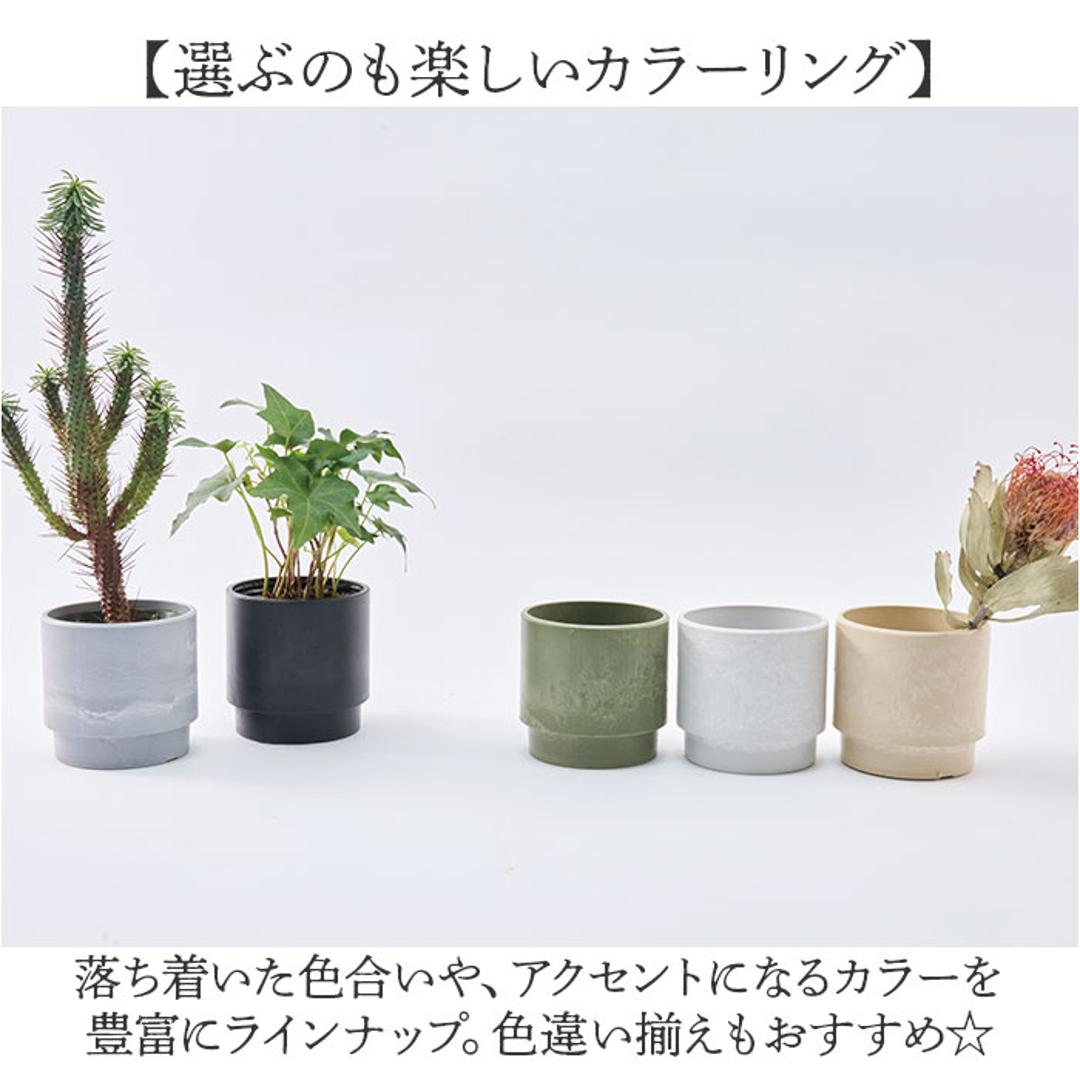 植木鉢 プラスチック 丸型 通販 SK ステップ 15.5xH15 鉢 約 5号 鉢カバー プランター プラポット プランターカバー 植木 ポット 鉢植え おしゃれ 軽量 軽い 観葉植物 フラワーアレンジメント インテリア リサイクルプラポット かわいい ミルキー ・