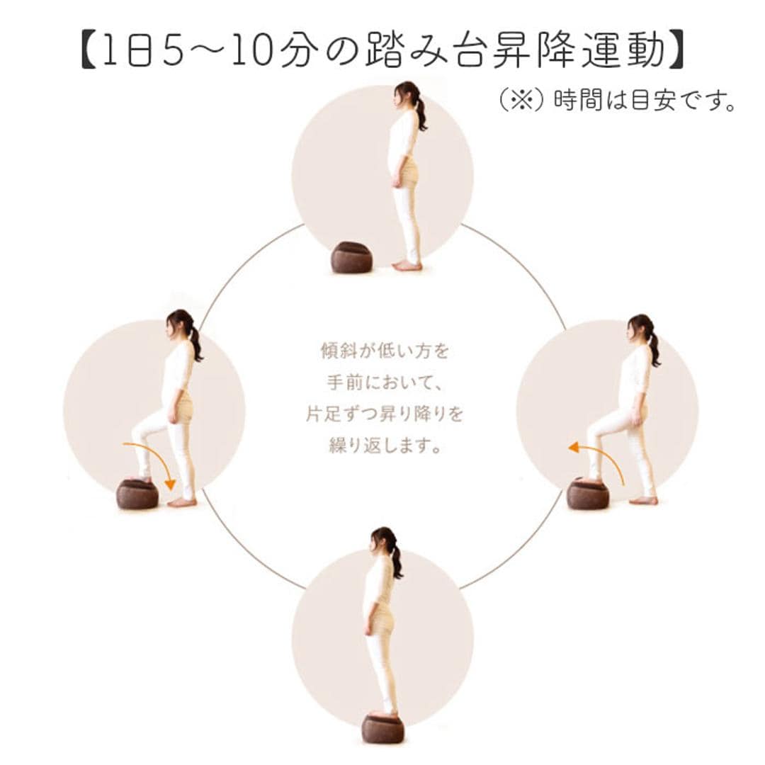 踏み台昇降 通販 トランポリンクッション エクササイズ フィットネス トランポリン クッション おうち時間 持ち運び トレーニング ジャンプ 有酸素運動 おしゃれ インテリア 運動不足 PROIDEA プロイデア ギフト ブラウン ・