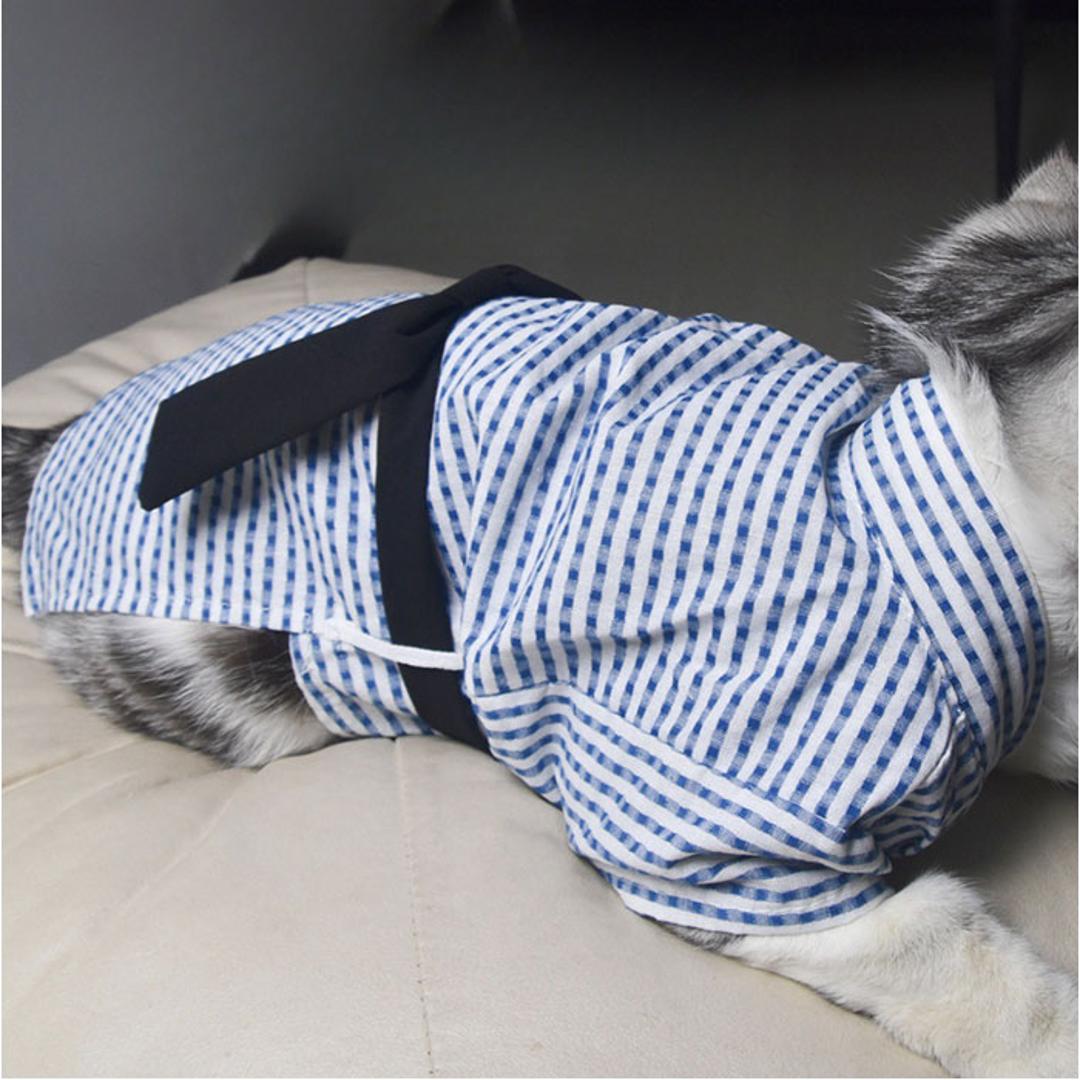 犬 甚平 通販 甚平服 浴衣 着物 きもの ペット服 犬の服 いぬ イヌ 猫?ねこ 小型犬 かわいい おしゃれ ドッグウェア 犬甚平 花火大会 お祭り イベント 犬服 夏服 和服 シンプル ペットグッズ ペット浴衣 ギフト 贈り物 ホワイトXブルー XSサイズ