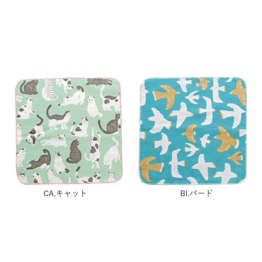 タオルハンカチ キッズ 通販 おしぼりタオル ハンカチ ギフト ブランド ハローベア プチギフト お誕生日 プレゼント コットン 綿 かわいい ミニタオル プチタオル 保育園 女の子 幼稚園 男の子 くま アニマル 子ども おそろい クリスマス会 記念品 まとめ買い BI.バード ・