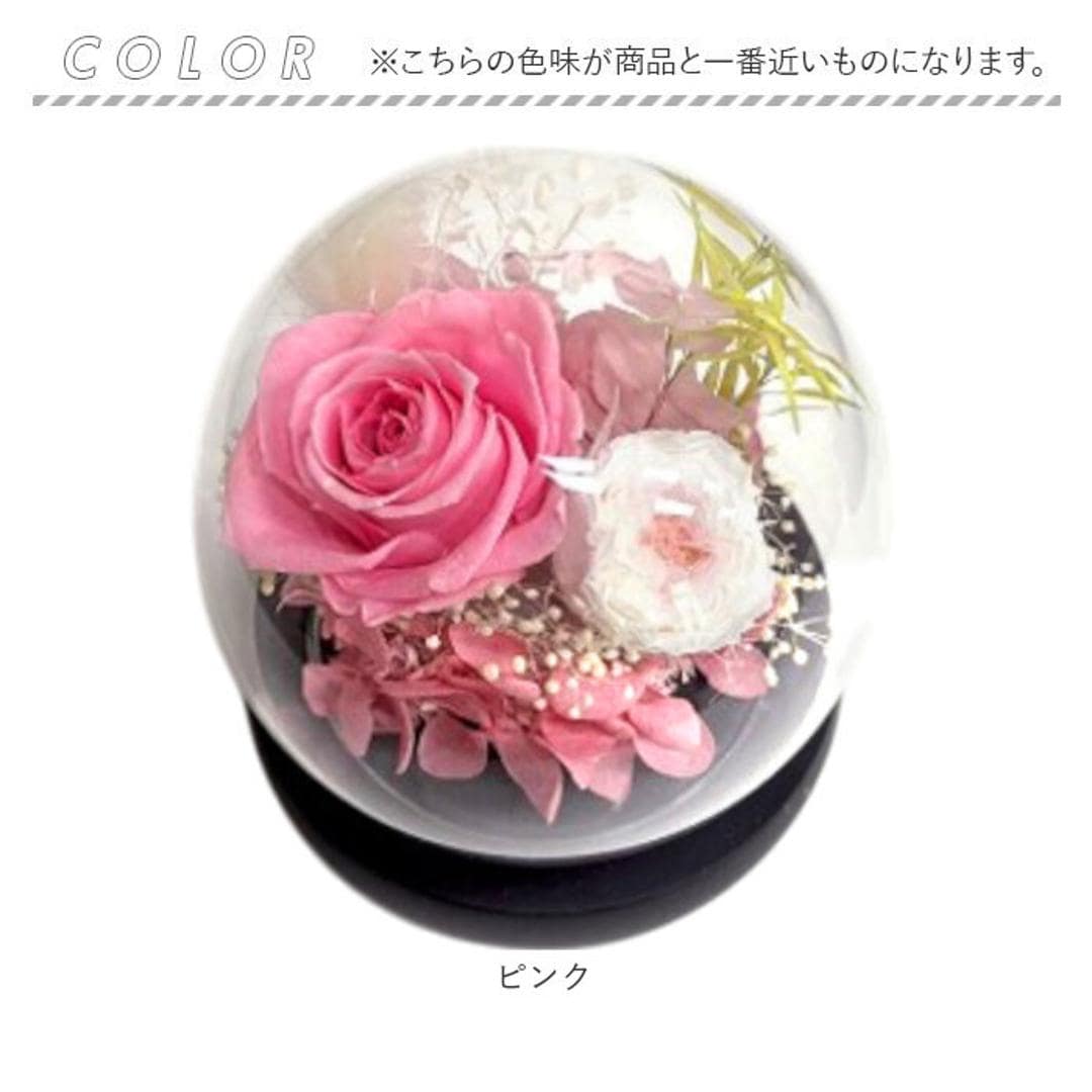 ブリザードフラワ- 通販 フラワーギフト ガラス製 フラワーアレンジメント ガラスドーム お花 花 かわいい おしゃれ フラワー 結婚祝い 新築祝い 玄関 リビング 引越し祝い インテリア 退職 退職祝い アムール・デ・フルール ギフト 贈り物 引っ越し祝い ピンク ・