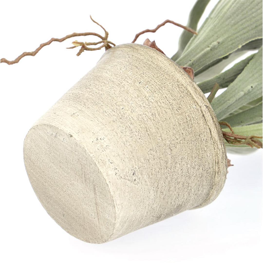 観葉植物 フェイク 大型 通販 フェイクグリーン スタッグホーン アーティフィシャルグリーン コウモリラン インテリアグリーン 人工観葉植物 大きめ 鉢植え ポット リビング ディスプレイ おしゃれ GLA-1364 スタッキングホーンポット ポピー YDM グリーン ・