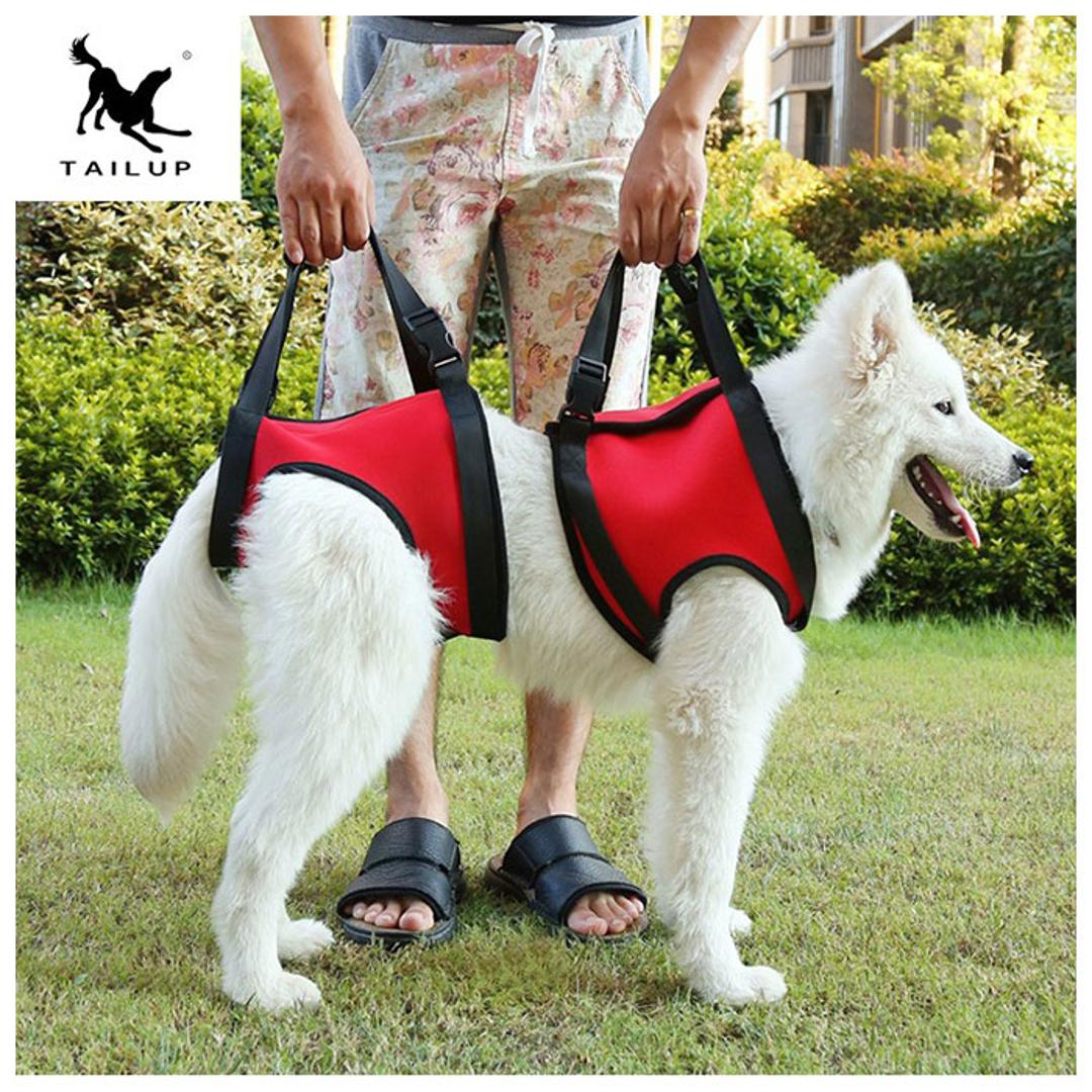 犬 介護 ハーネス 通販 老犬介護用品 歩行補助 介護ハーネス 大型犬 中型犬 小型犬 簡単装着 シニア犬 歩行補助ベルト 介護用品 散歩 リハビリ 犬用 いぬ ペット グッズ ペット用品 レッド 【即日発送】前足Sサイズ