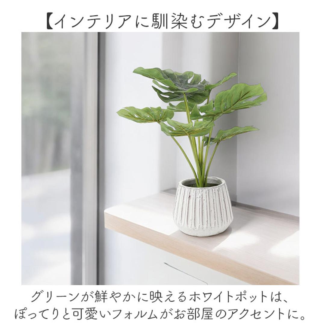 光触媒 人工観葉植物 通販 フェイクグリーン インテリアグリーン イミテーショングリーン インテリアプランツ ポット 陶器 植物 飾る 消臭 抗菌 防カビ おしゃれ 置物 イミテーション 癒し 癒やし リビング 和室 寝室 贈り物 ギフト 新生活 コウモリラン ・