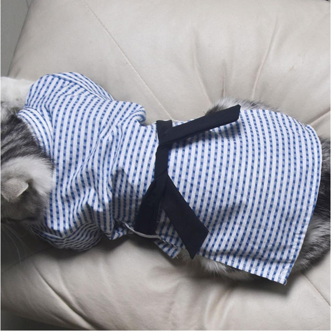 犬 甚平 通販 甚平服 浴衣 着物 きもの ペット服 犬の服 いぬ イヌ 猫?ねこ 小型犬 かわいい おしゃれ ドッグウェア 犬甚平 花火大会 お祭り イベント 犬服 夏服 和服 シンプル ペットグッズ ペット浴衣 ギフト 贈り物 ホワイトXブルー XSサイズ