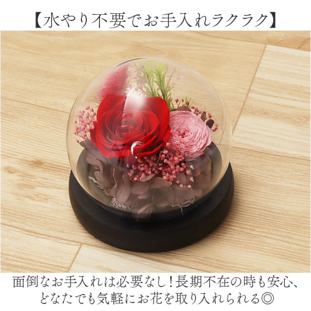 ブリザードフラワ- 通販 フラワーギフト ガラス製 フラワーアレンジメント ガラスドーム お花 花 かわいい おしゃれ フラワー 結婚祝い 新築祝い 玄関 リビング 引越し祝い インテリア 退職 退職祝い アムール・デ・フルール ギフト 贈り物 引っ越し祝い ピンク ・