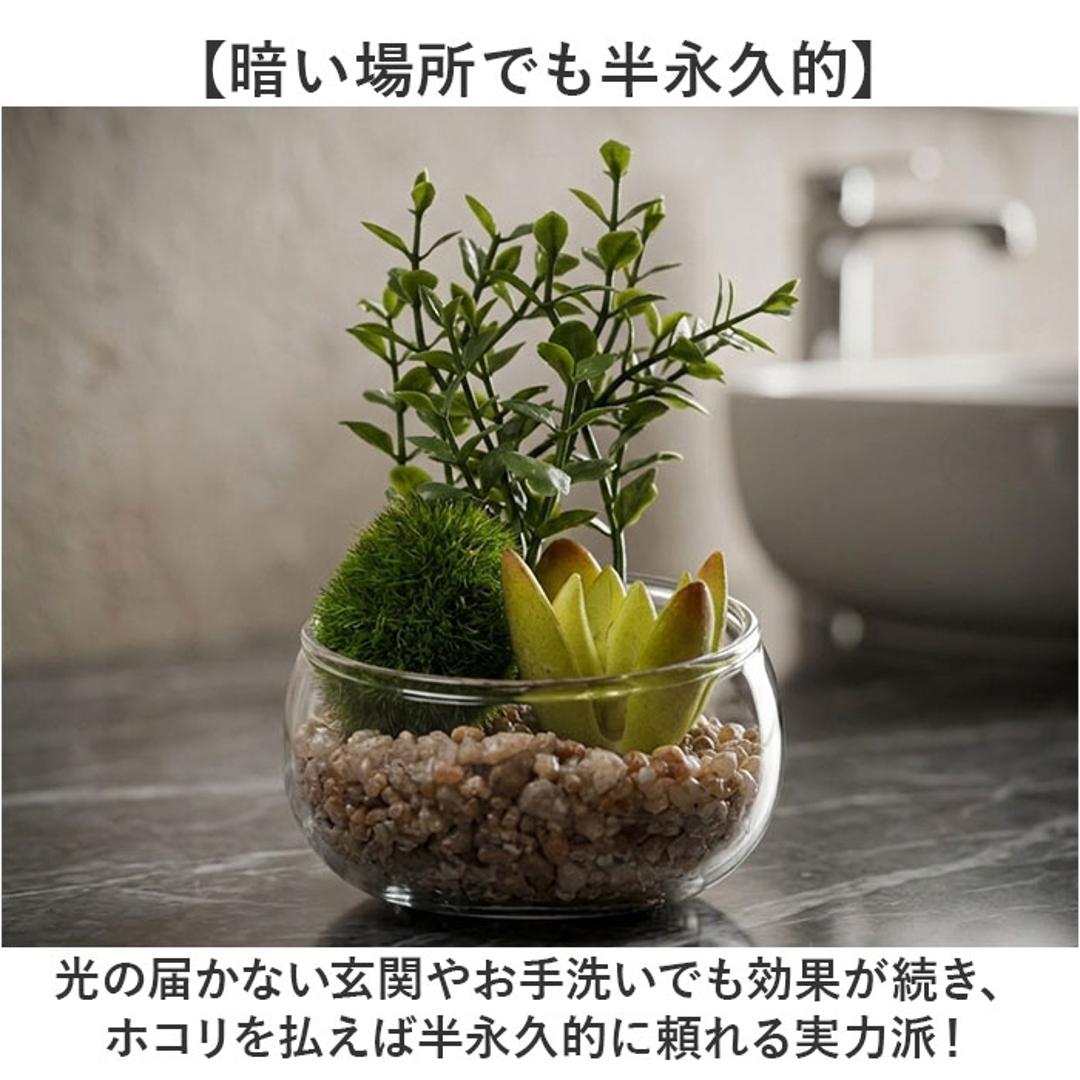 CT触媒 フェイクグリーン 通販 キシマ Sサイズ アーティフィシャルグリーン 観葉植物 フェイク グリーン 人工観葉植物 卓上 多肉植物 寄せ植え ガラス 消臭 小さめ ミニ 小型 かわいい リビング リアル kishima 造花 インテリア 61433.Aタイプ ・