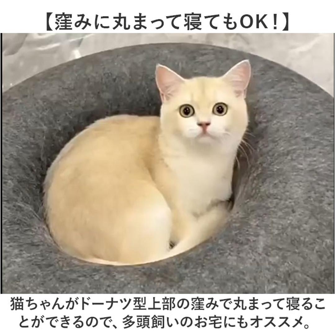 キャットハウス 猫 通販 猫用ベッド 猫ハウス ドーム型 クッション もぐる 寝る 遊ぶ フエルト ドームベッド キャットベッド 猫用品 ベッド かわいい 可愛い おしゃれ 猫グッズ ねこハウス 暖かい シンプル ネコベット ギフト ペットグッズ ダークグレー ・