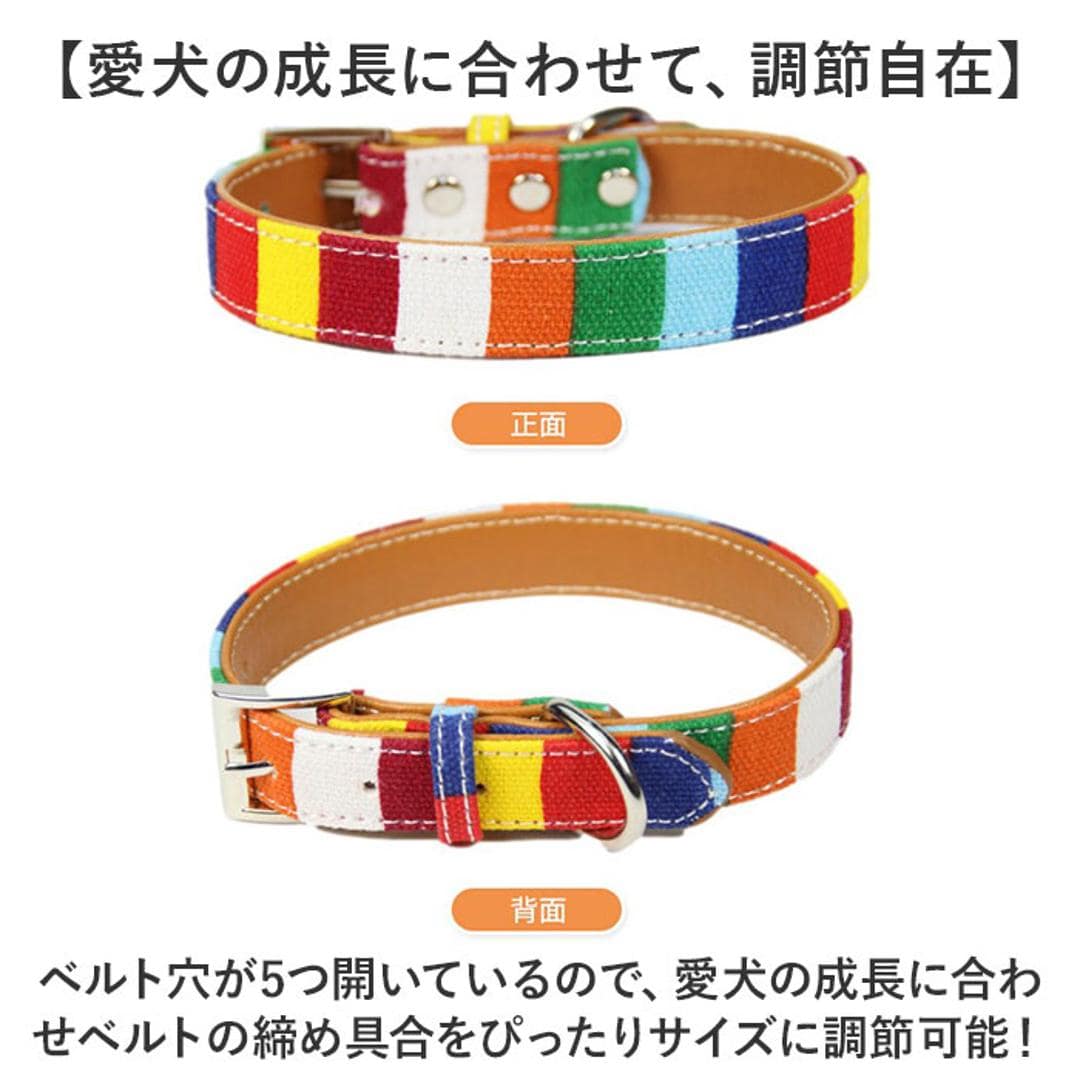 首輪 犬 通販 犬の首輪 中型犬 小型犬 かわいい 可愛い おしゃれ 調節可能 シンプル カジュアル 犬アクセサリー オシャレ お出掛け お出かけ さんぽ 散歩 ベルト式 キャンバス+PU 犬グッズ ペットグッズ ペット用品 マルチカラー 【即日発送】Sサイズ