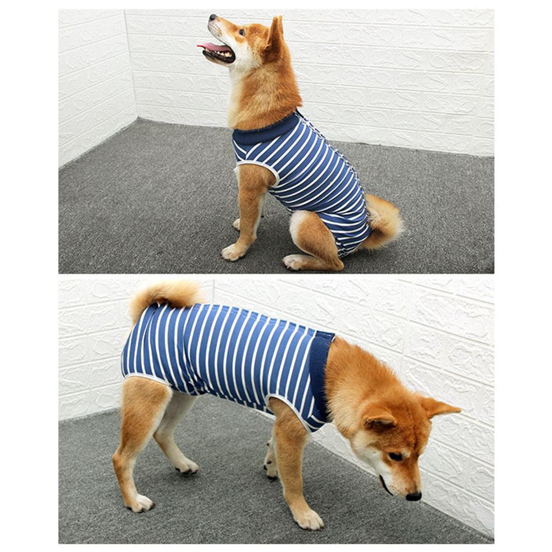 犬 術後服 通販 オールシーズン 介護服 着術後ウェア ペット用品 猫 ネコ ねこ いぬ イヌ 犬用 猫用 ペット服 術後ウェア パンツ ドッグウェア 袖なし 袖無 四脚 皮膚保護 手術 怪我 傷舐め防止 傷口保護 傷 舐めない 柴犬 ビーグル テリア コリー グリーン 【即日発送】Sサイズ