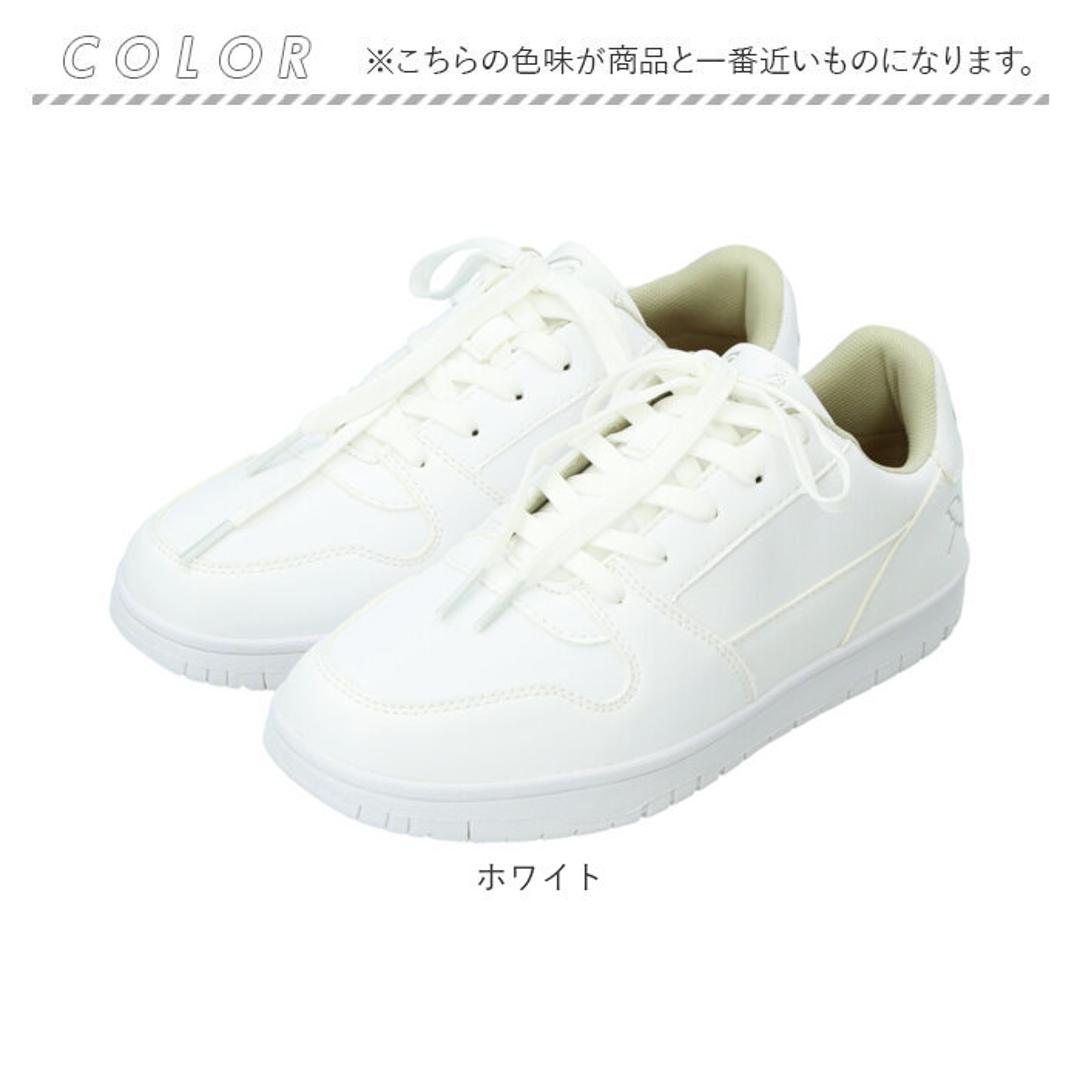 Arnold Palmer アーノルドパーマー スニーカー レディース 通販 ローカット レイン 紐靴 レディースシューズ レディース靴 婦人靴 運動靴 シューズ カジュアル ブランド 靴 おしゃれ 女性用 PU ホワイト 【即日発送】22.5cm