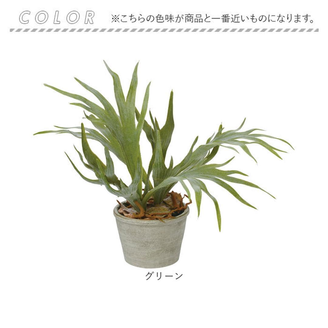 観葉植物 フェイク 大型 通販 フェイクグリーン スタッグホーン アーティフィシャルグリーン コウモリラン インテリアグリーン 人工観葉植物 大きめ 鉢植え ポット リビング ディスプレイ おしゃれ GLA-1364 スタッキングホーンポット ポピー YDM グリーン ・