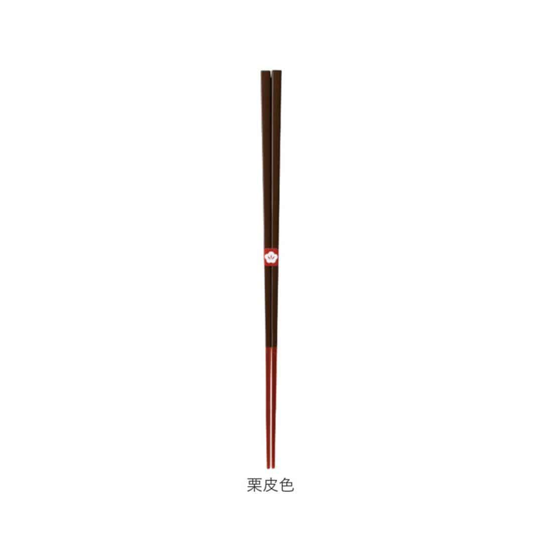 箸 おしゃれ 通販 日本製 お箸 竹 竹箸 23cm おはし 天然竹 四角 細い にっぽん伝統色箸 女性 男性 使いやすい 竹製 オシャレ かわいい 可愛い カトラリー 和食器 食器 キッチン用品 常盤緑 ・