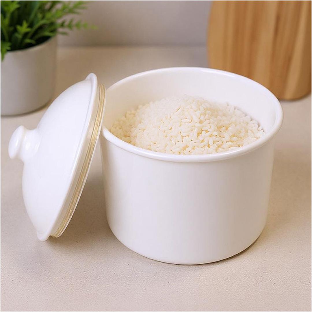 米びつ おしゃれ 2kg 通販 日本製 米櫃 2キロ ライスストッカー 米 保存容器 キャニスター お米 保存 食品保存容器 冷蔵庫 野菜室 密閉 コンパクト RICE CAN ライスカン SO-Q STYLE ソーキュースタイル キッチン用品 ホワイト ・