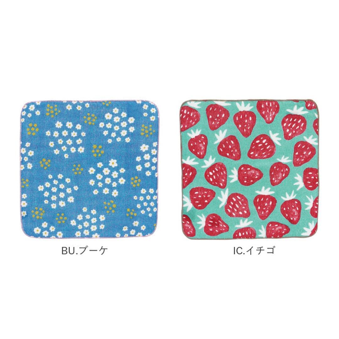 タオルハンカチ キッズ 通販 おしぼりタオル ハンカチ ギフト ブランド ハローベア プチギフト お誕生日 プレゼント コットン 綿 かわいい ミニタオル プチタオル 保育園 女の子 幼稚園 男の子 くま アニマル 子ども おそろい クリスマス会 記念品 まとめ買い BI.バード ・