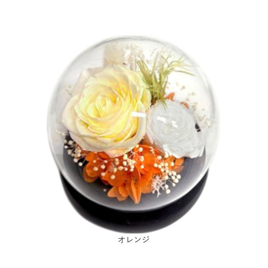 ブリザードフラワ- 通販 フラワーギフト ガラス製 フラワーアレンジメント ガラスドーム お花 花 かわいい おしゃれ フラワー 結婚祝い 新築祝い 玄関 リビング 引越し祝い インテリア 退職 退職祝い アムール・デ・フルール ギフト 贈り物 引っ越し祝い ピンク ・