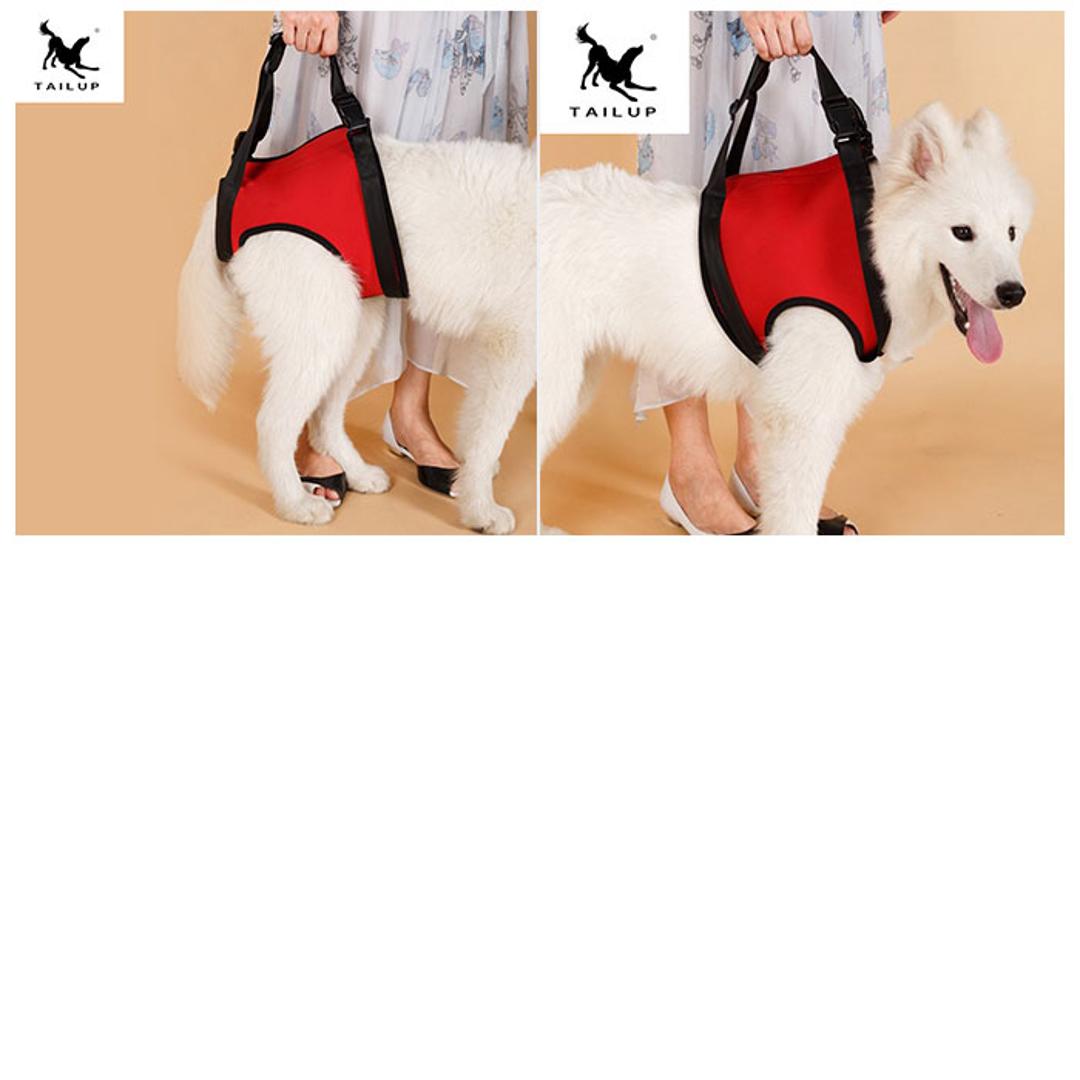 犬 介護 ハーネス 通販 老犬介護用品 歩行補助 介護ハーネス 大型犬 中型犬 小型犬 簡単装着 シニア犬 歩行補助ベルト 介護用品 散歩 リハビリ 犬用 いぬ ペット グッズ ペット用品 レッド 【即日発送】前足Sサイズ
